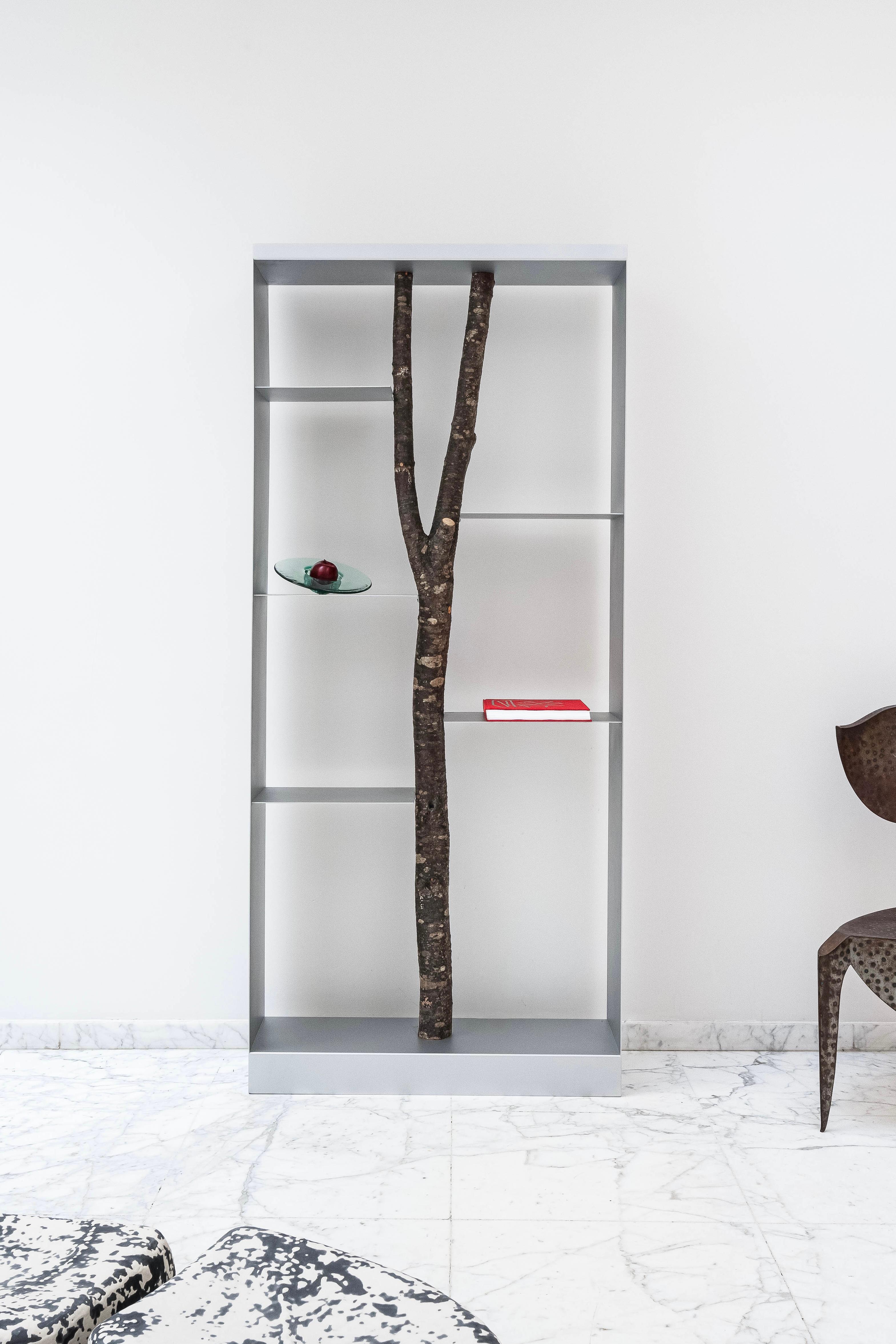 Italian 1990s Piccolo Albero Bookcase by Andrea Branzi for Design Gallery