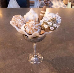 1990s Seashell Composition in Engraved Silver Cup