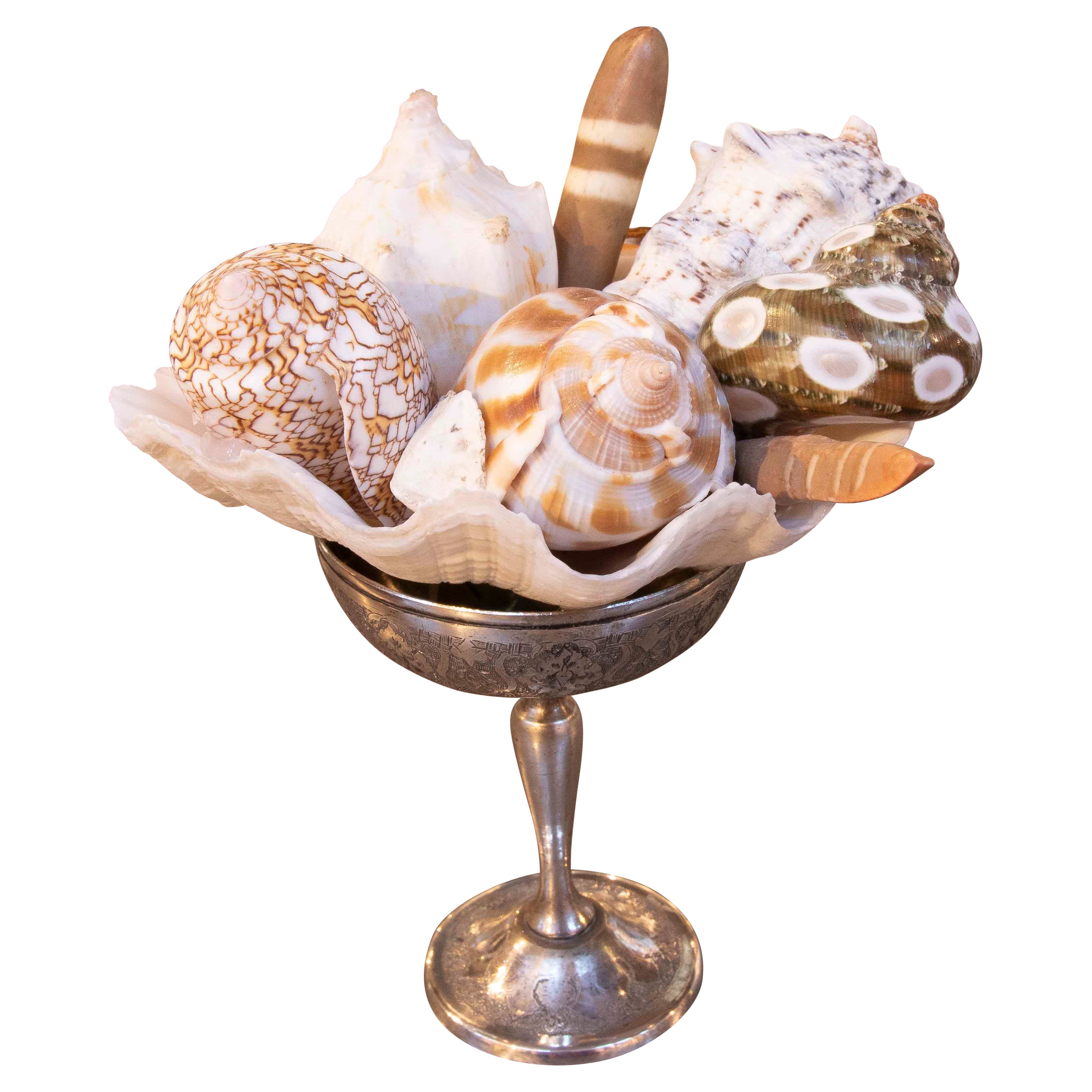 1990s Seashell Composition in Engraved Silver Cup For Sale