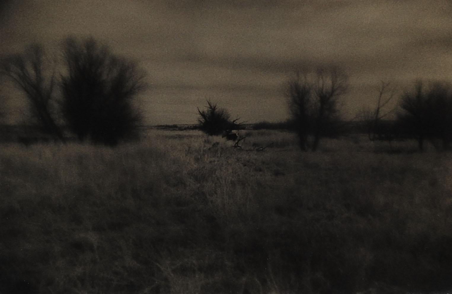 Rustic 1990s Sepia Toned Moody Eric Weller Prairie Landscape Photograph For Sale