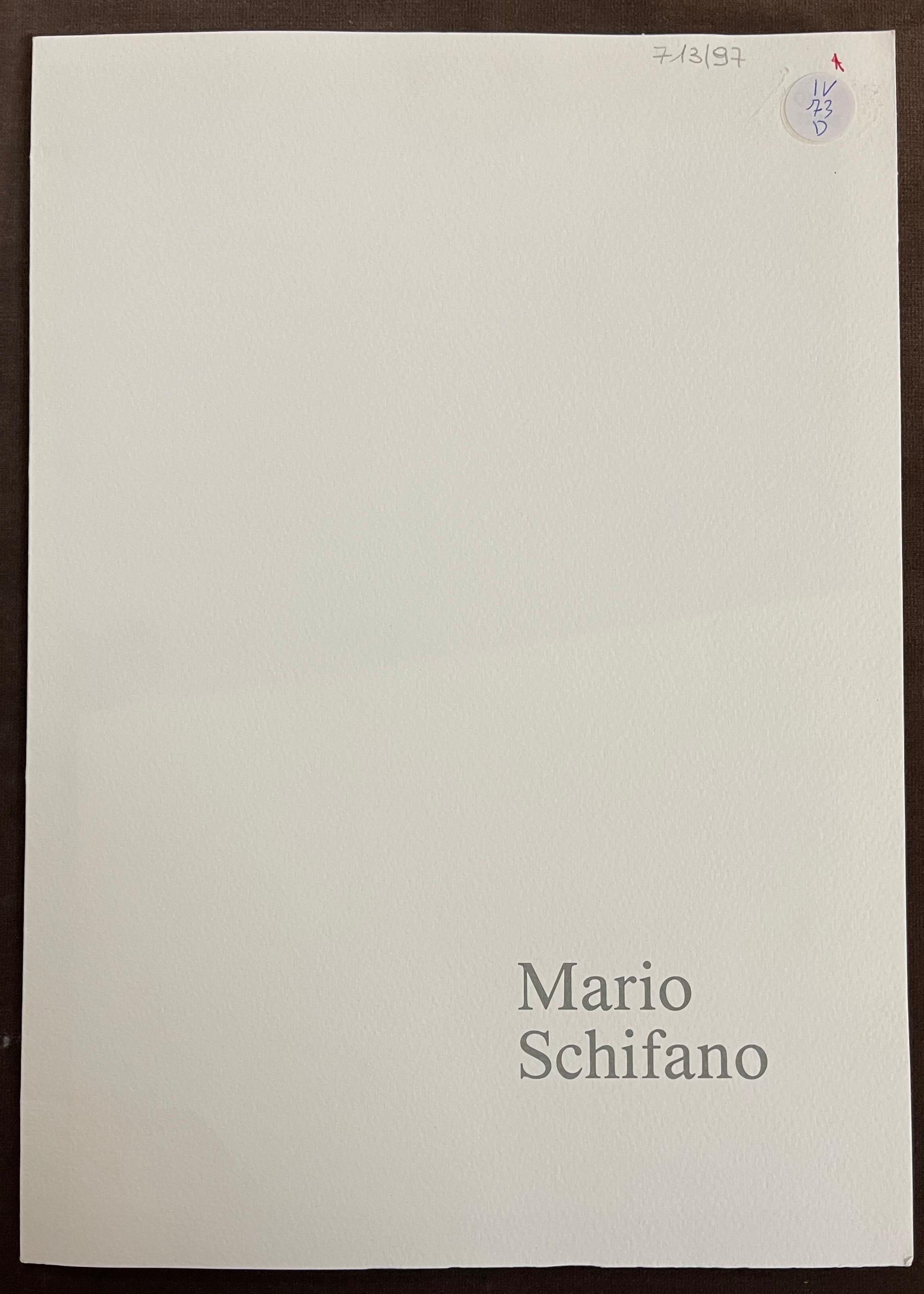 Tela Opera d'arte di Mario Schifano firmata negli anni '90 in vendita