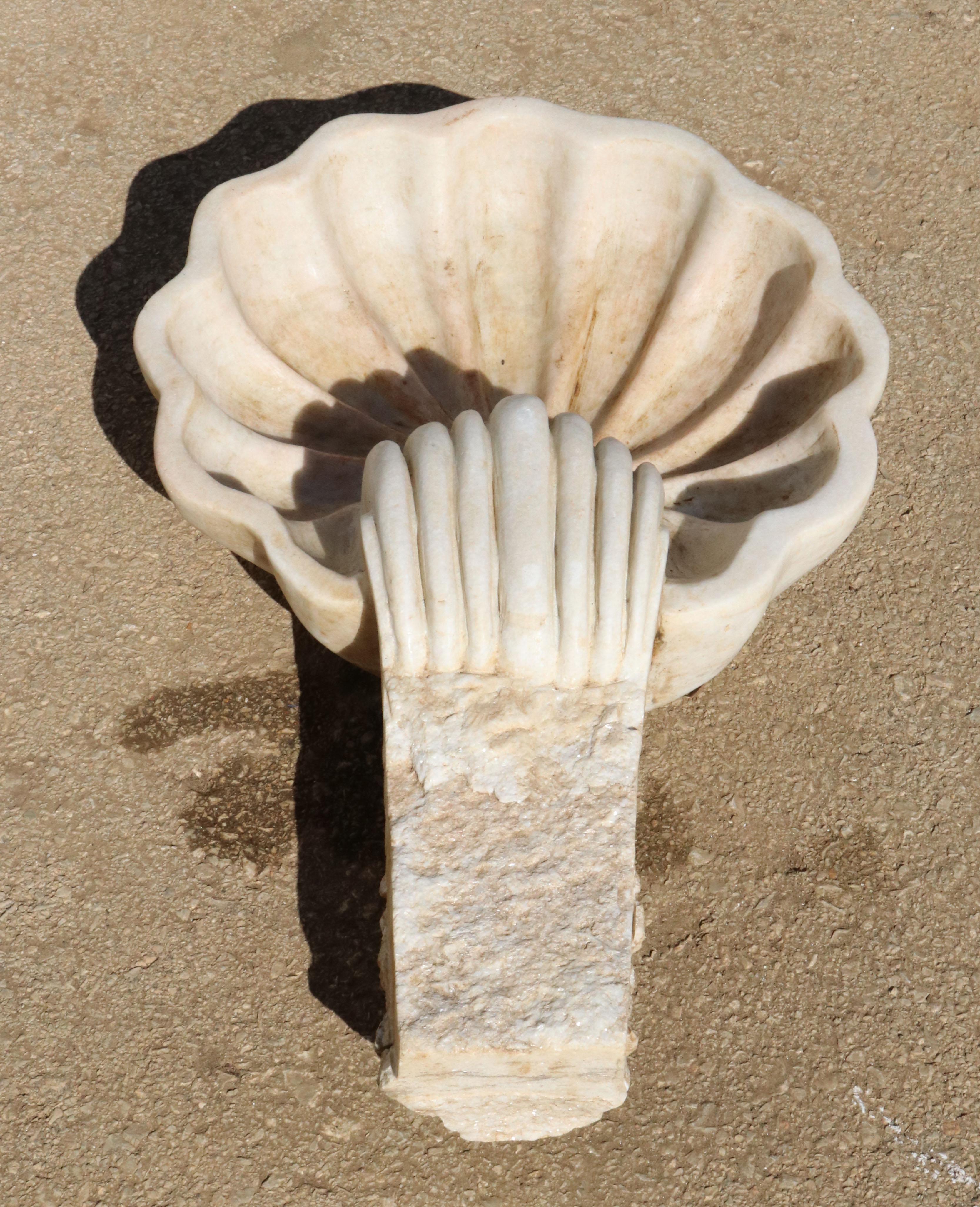 Hand-Carved 1990s Spanish Hand Carved Aged White Marble Seashell