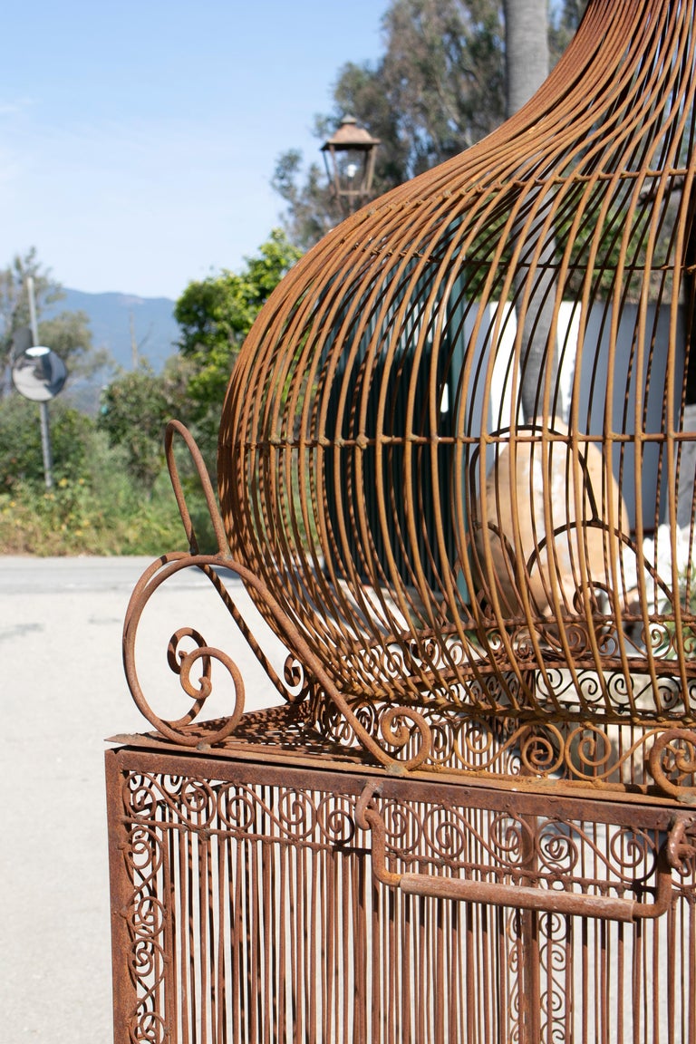 Large Wrought Iron Bird Cage – Ceilean 79 » Iron Bird Cage – YINSBK
