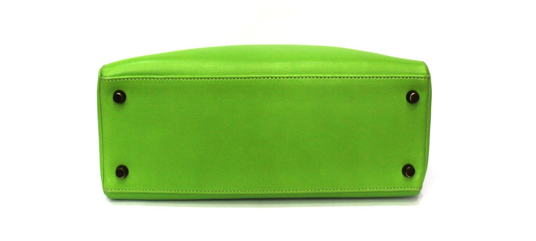 apple green bag