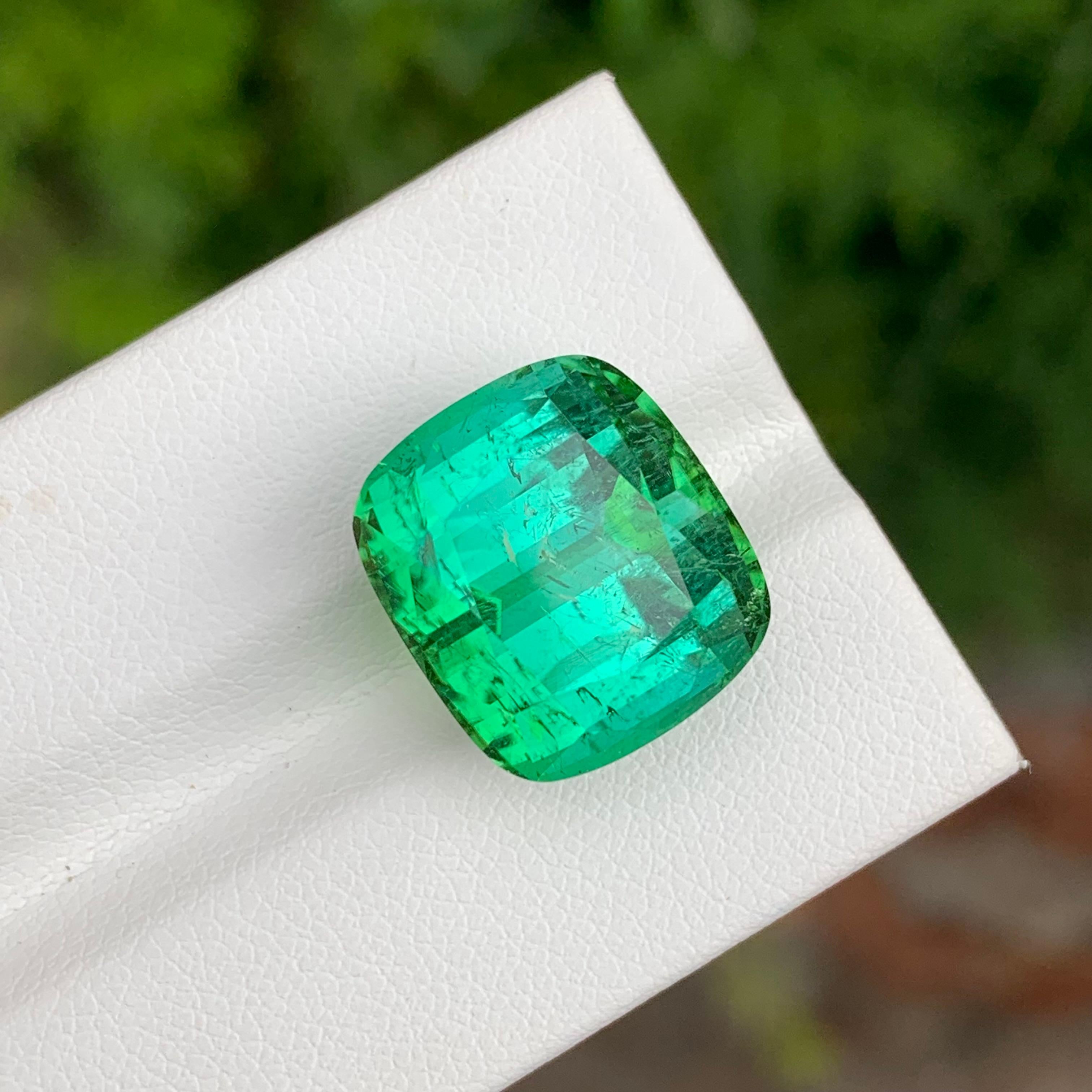 Arts and Crafts 19.95 Carat Natural Loose Green Lagoon Tourmaline Cushion Shape Gemstone (pierre précieuse en forme de coussin) en vente