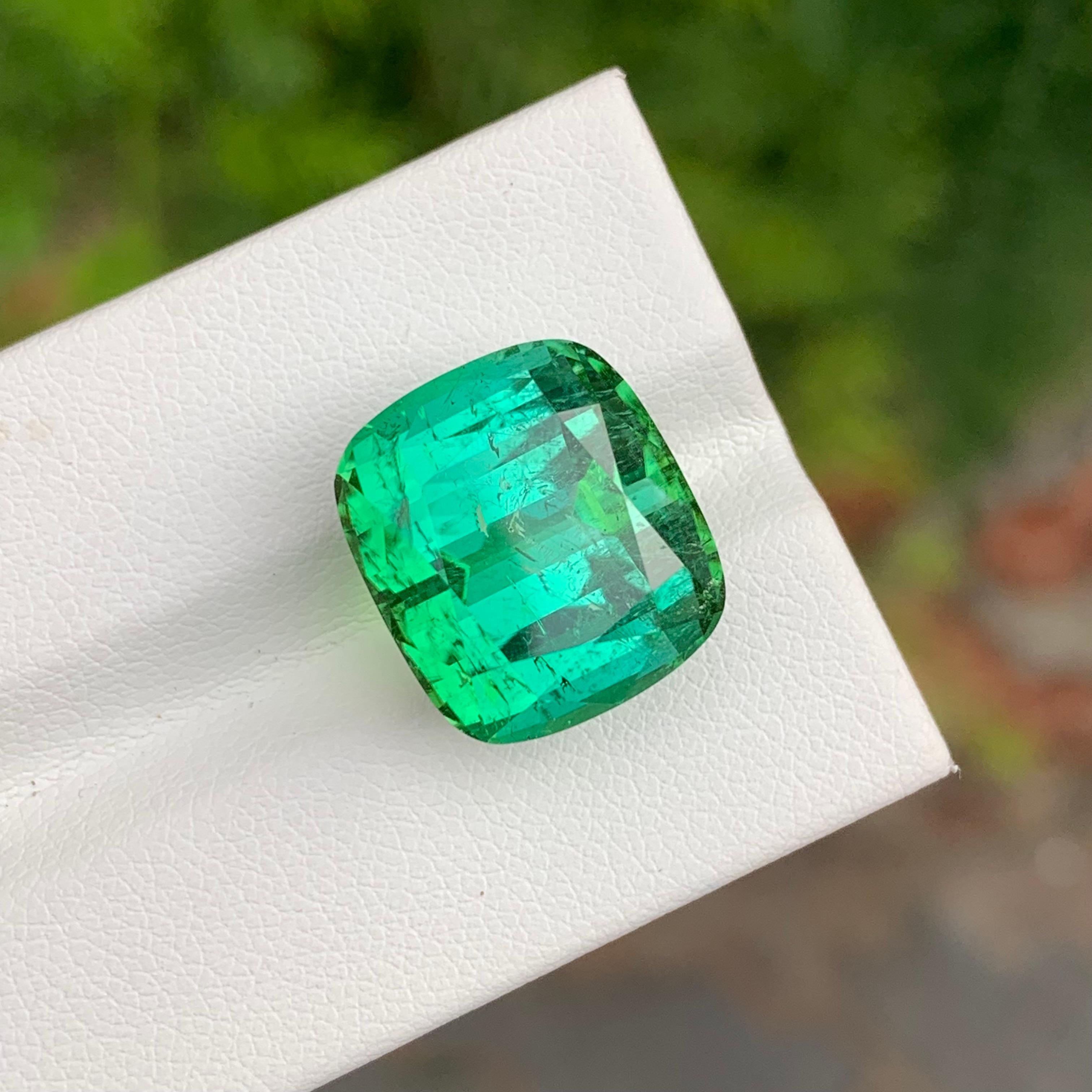 Taille coussin 19.95 Carat Natural Loose Green Lagoon Tourmaline Cushion Shape Gemstone (pierre précieuse en forme de coussin) en vente
