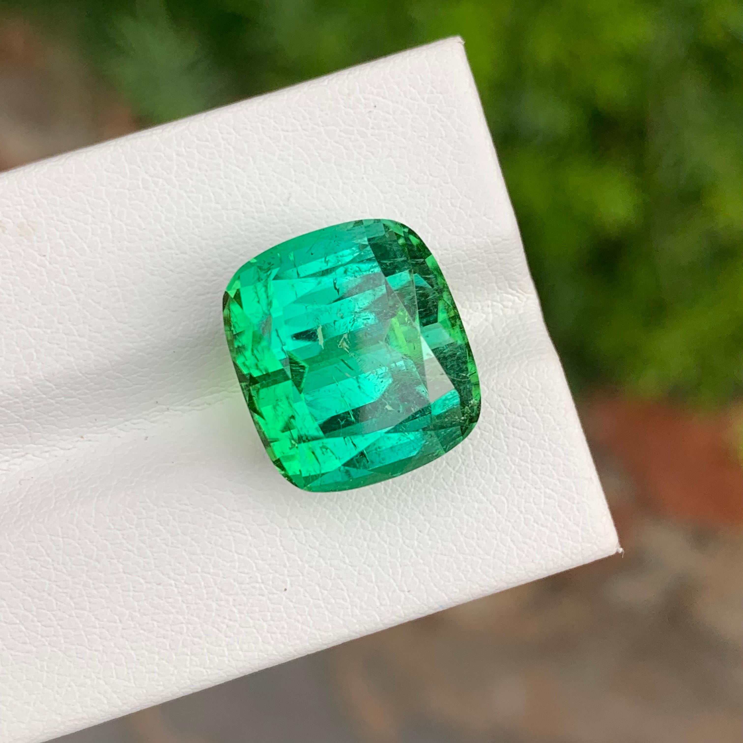 19.95 Carat Natural Loose Green Lagoon Tourmaline Cushion Shape Gemstone (pierre précieuse en forme de coussin) Neuf - En vente à Peshawar, PK