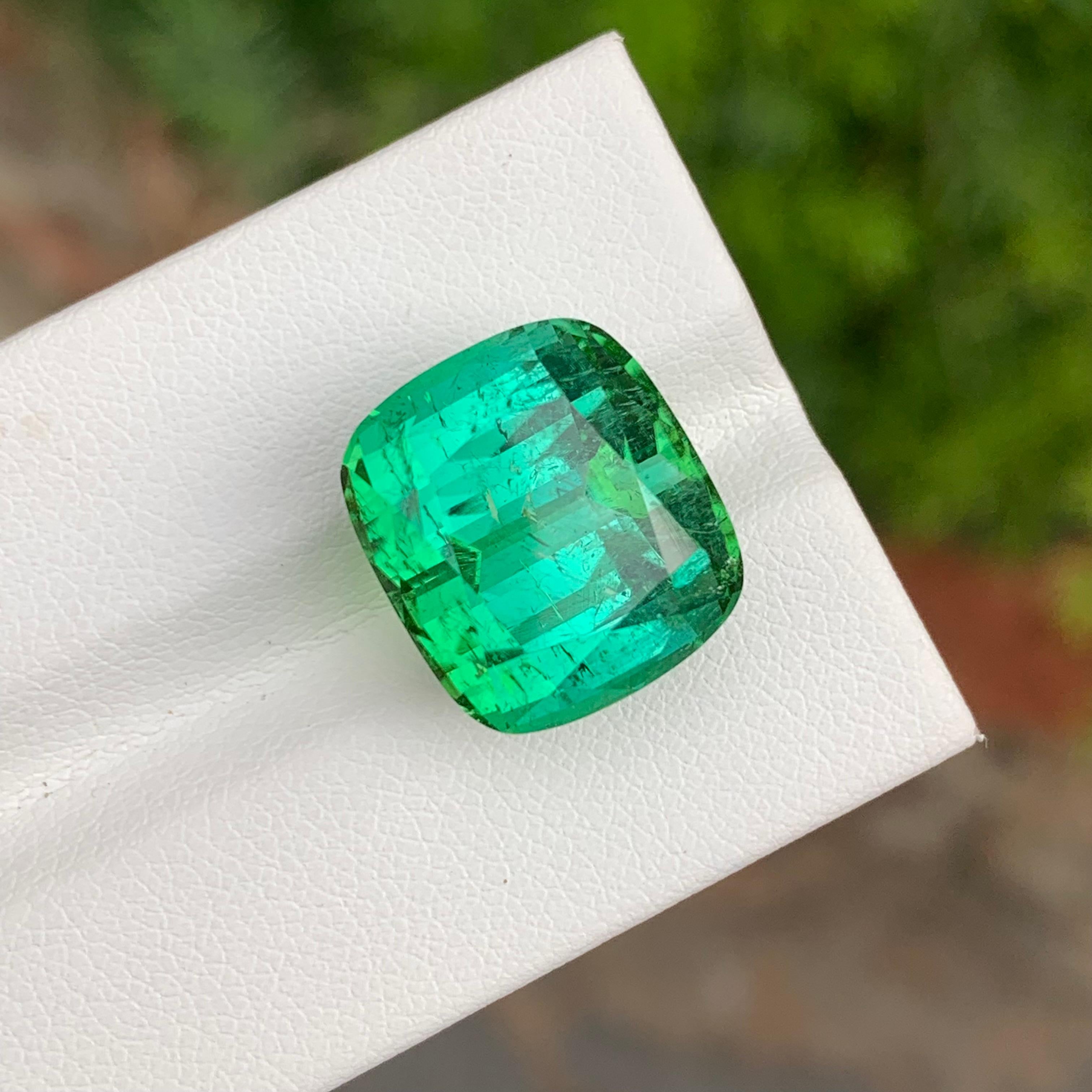 19.95 Carat Natural Loose Green Lagoon Tourmaline Cushion Shape Gemstone (pierre précieuse en forme de coussin) Unisexe en vente