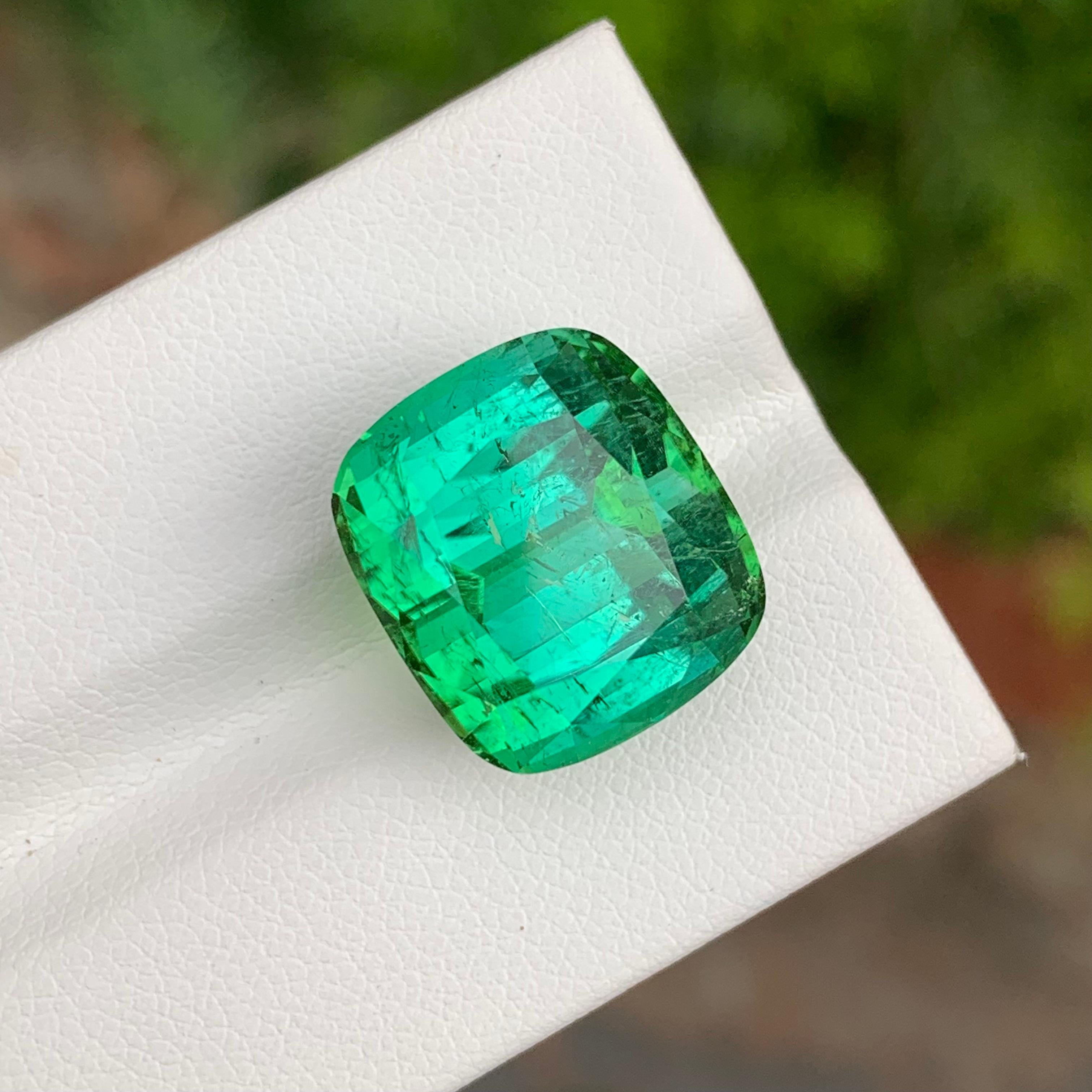 19.95 Carat Natural Loose Green Lagoon Tourmaline Cushion Shape Gemstone (pierre précieuse en forme de coussin) en vente 1