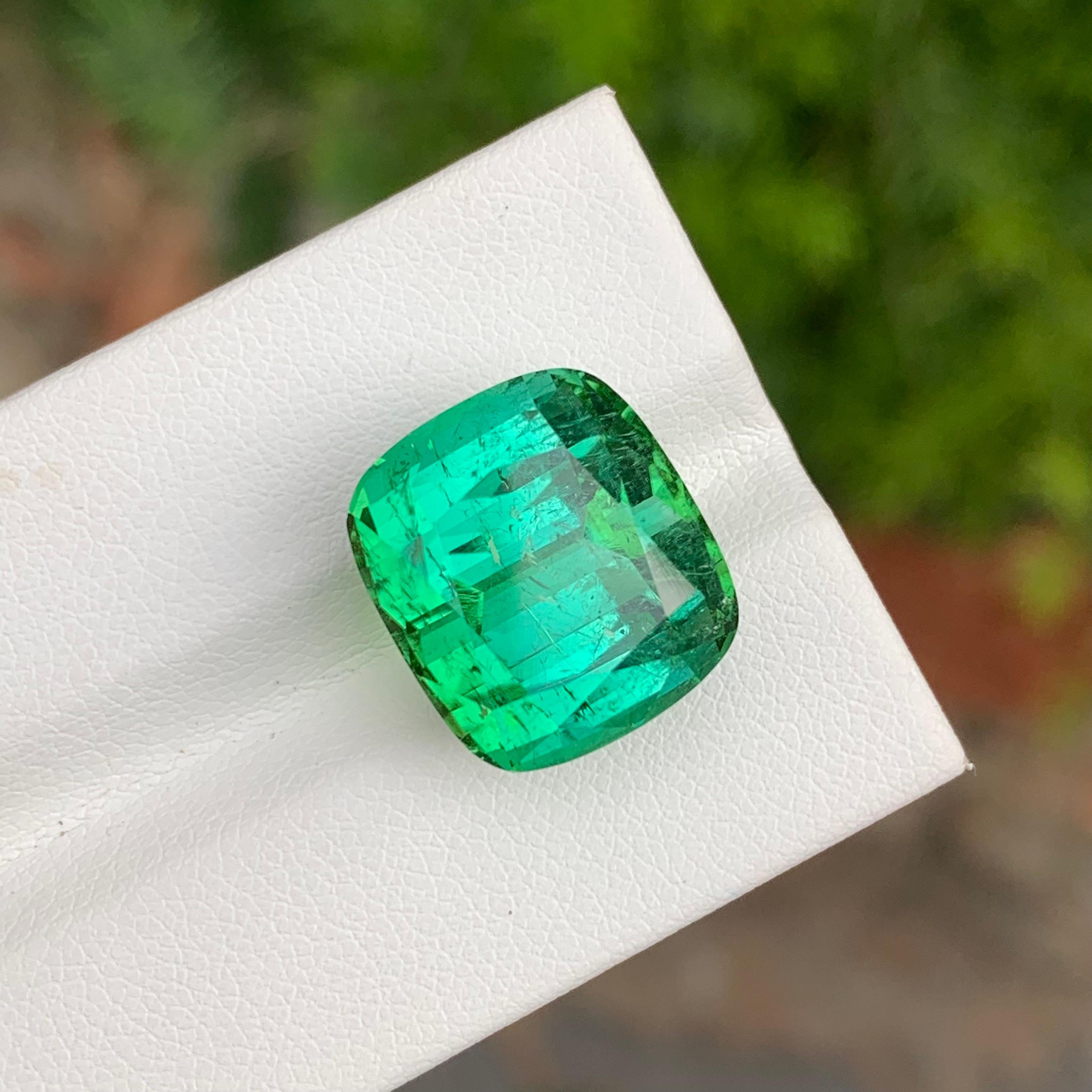 19.95 Carat Natural Loose Green Lagoon Tourmaline Cushion Shape Gemstone (pierre précieuse en forme de coussin) en vente 2