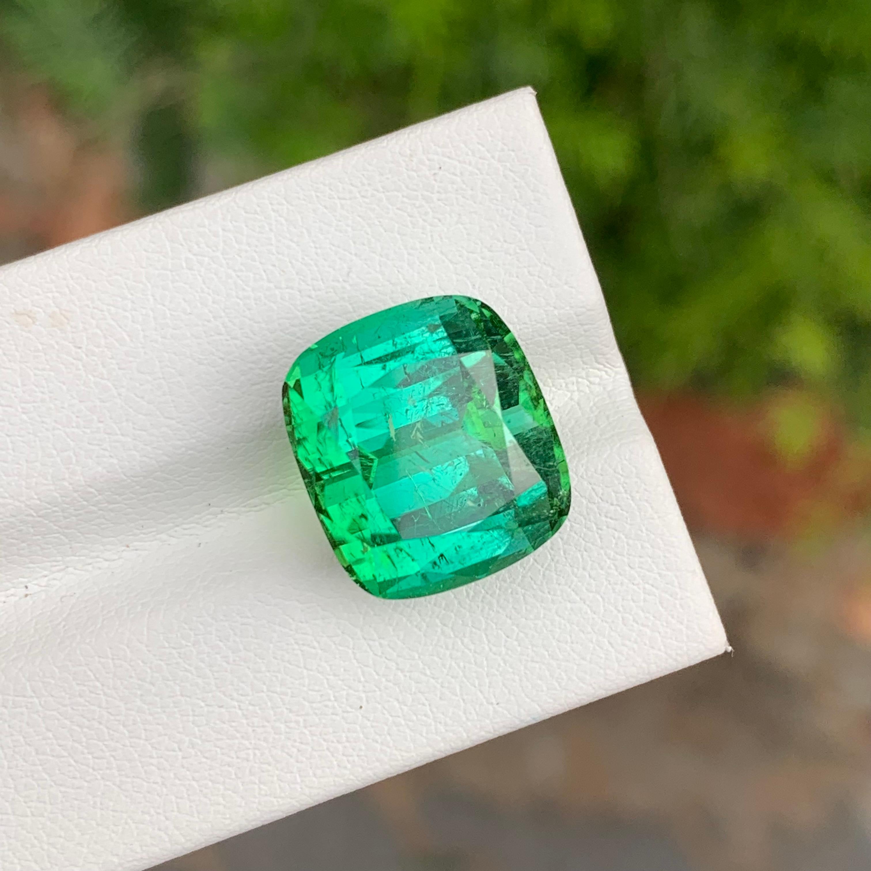 19.95 Carat Natural Loose Green Lagoon Tourmaline Cushion Shape Gemstone (pierre précieuse en forme de coussin) en vente 3