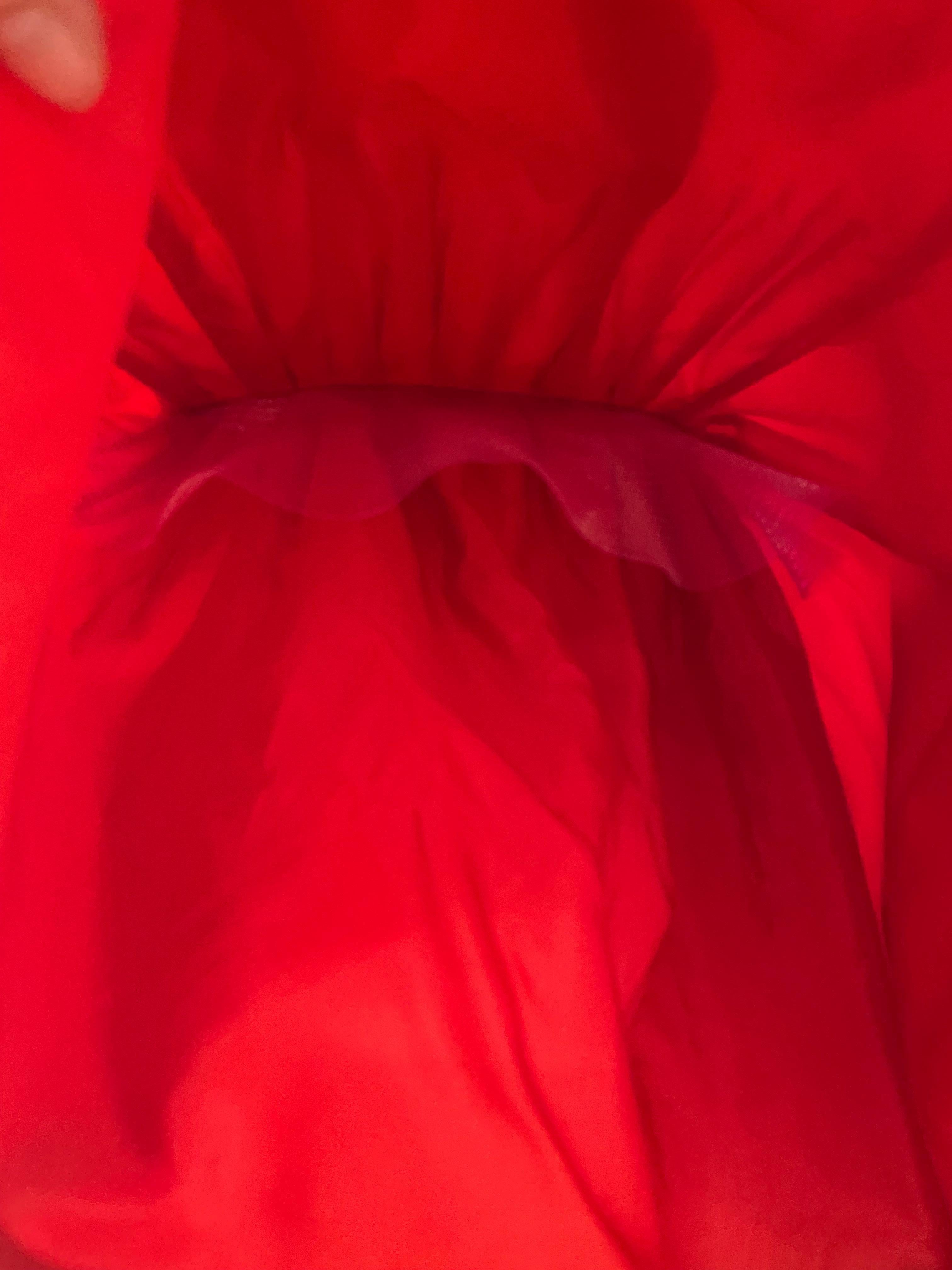 1997 CHANEL Pasarela Vestido de seda rojo sin tirantes con lazo 3