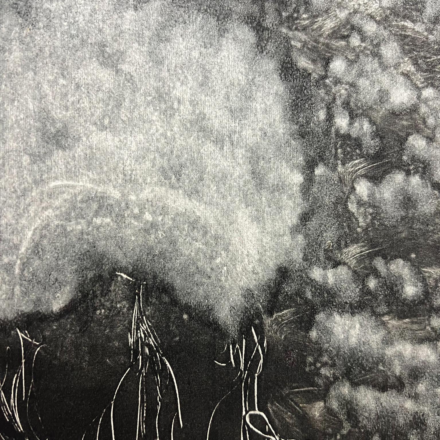 1998 Arte di Gina Kail Monoprint Buffalo Metamorphosis 4:6 in vendita 6