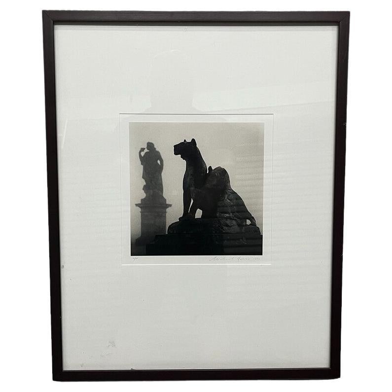 1998 Photo by Michael Kenna "Beauty and the Beast" For Sale