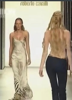 1999 Roberto Cavalli zebra sheer maxi dress