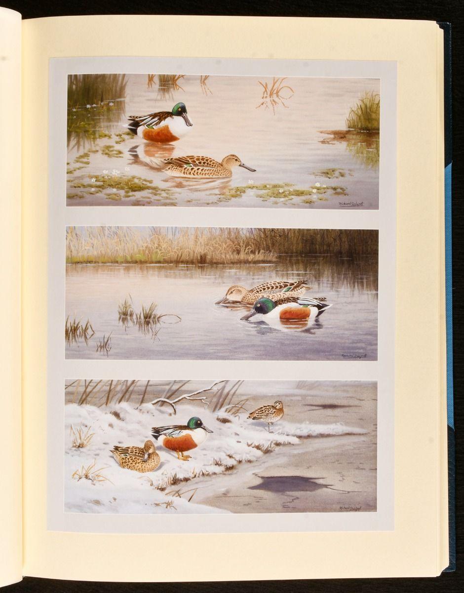 Paper 1999 Sporting Wildfowl of the British Isles: Studies in Words and Pictures For Sale