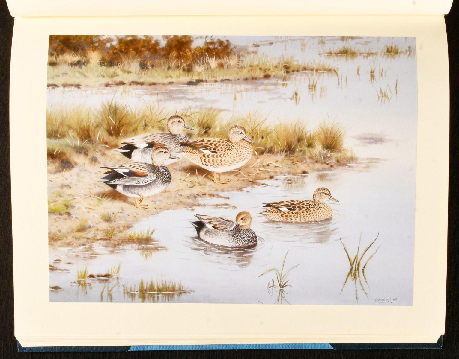 1999 Sporting Wildfowl of the British Isles: Studies in Words and Pictures For Sale 1
