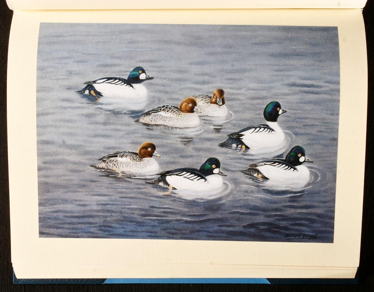1999 Sporting Wildfowl of the British Isles: Studies in Words and Pictures For Sale 2
