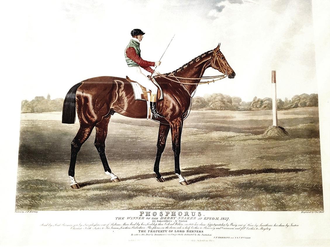 Presenting a fabulous and very rare, original mid-19th century engraving, after a painting by John Frederick Herring Snr…………….Engraved by charles hunt…, circa 1840.

This original engraving is of “Phosphorus” ….”The Winner of the Derby Stakes at