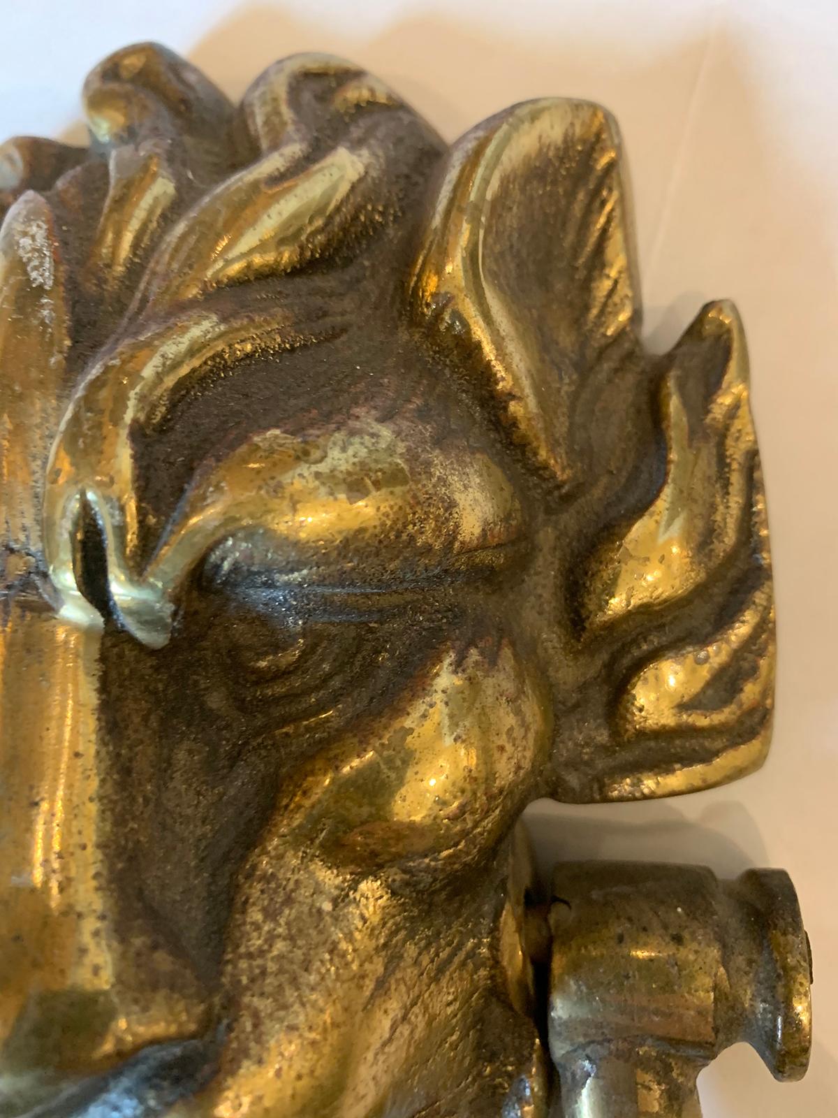 19th-20th Century Bronze Lion Door Knocker with Strike 5