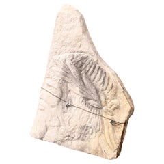 Rilievo da parete in stile turco-bizantino del XIX-XX secolo - Pannello decorativo antico