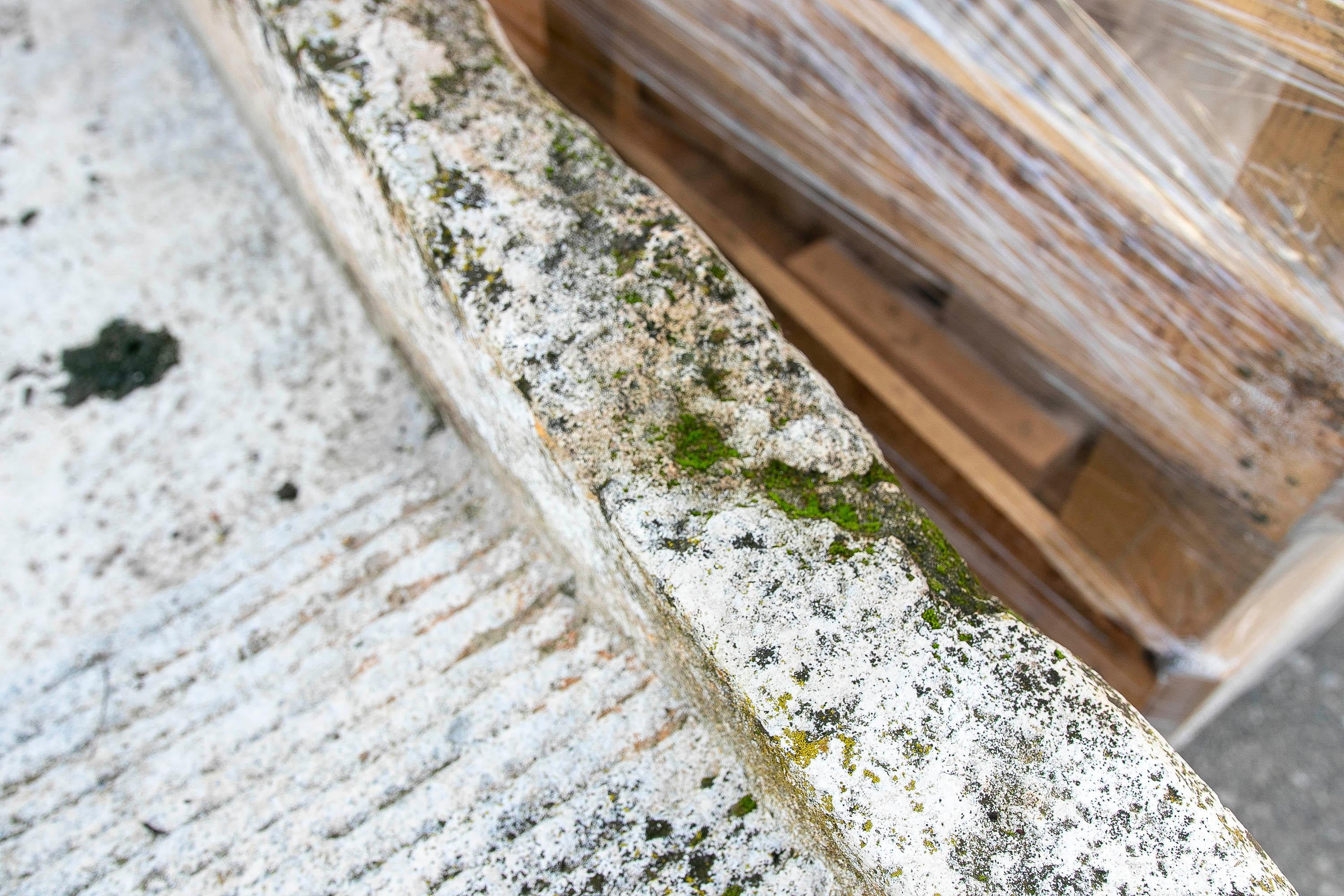 19th Antique Carved Stone Washing Basin for Garden or Decorative Fountain For Sale 5