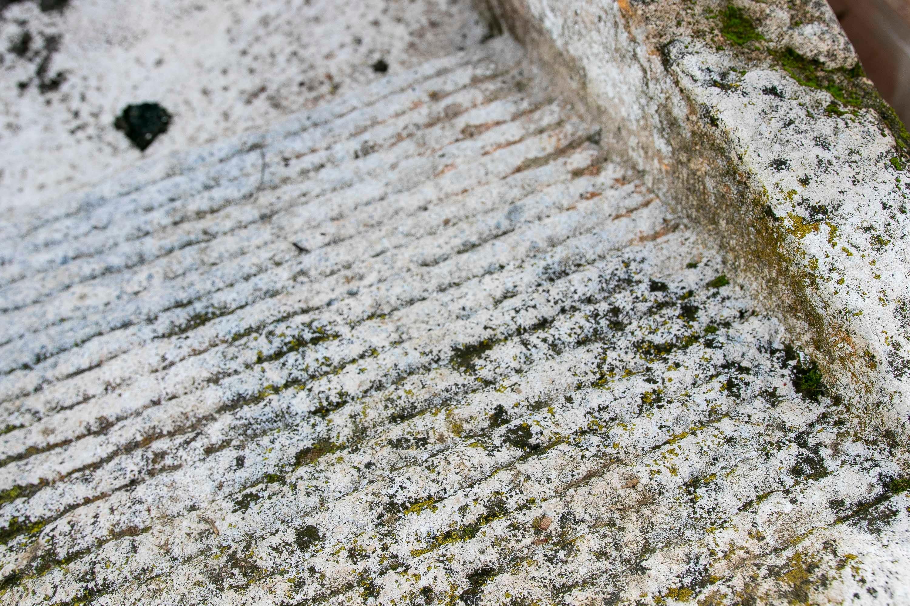 19th Antique Carved Stone Washing Basin for Garden or Decorative Fountain For Sale 6