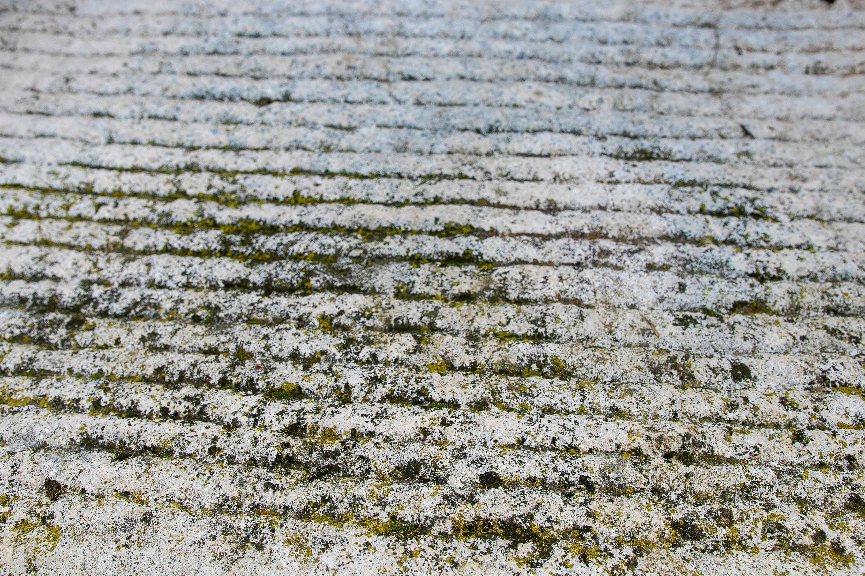 19th Antique Carved Stone Washing Basin for Garden or Decorative Fountain For Sale 7