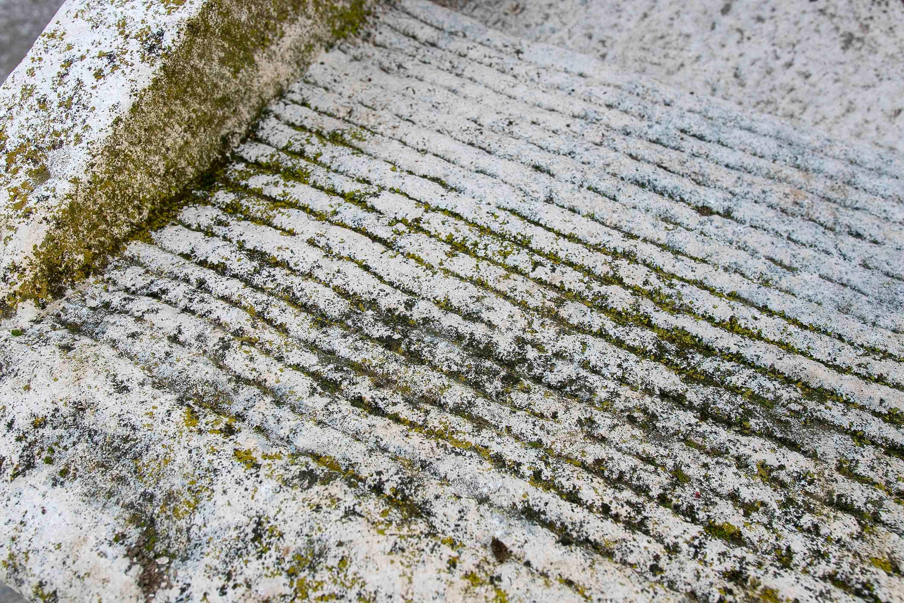 19th Antique Carved Stone Washing Basin for Garden or Decorative Fountain For Sale 8