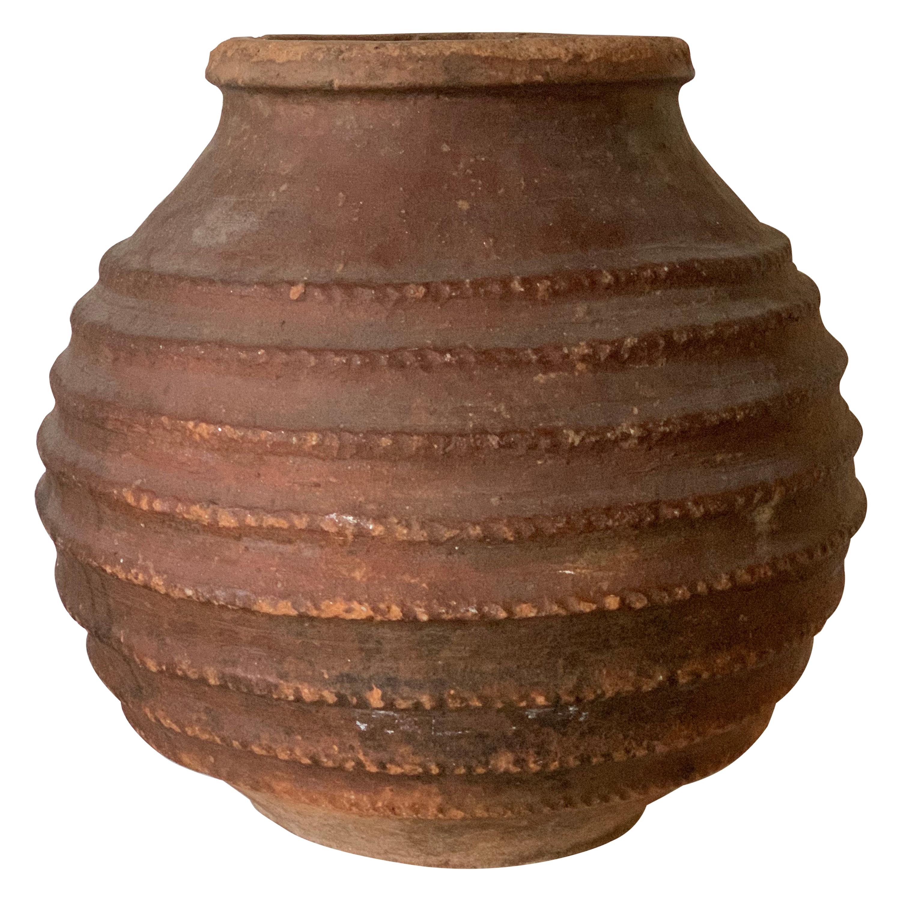 19th Antique Terracotta Ribbed Olive Jar with Dark Lichen Patination, Spain
