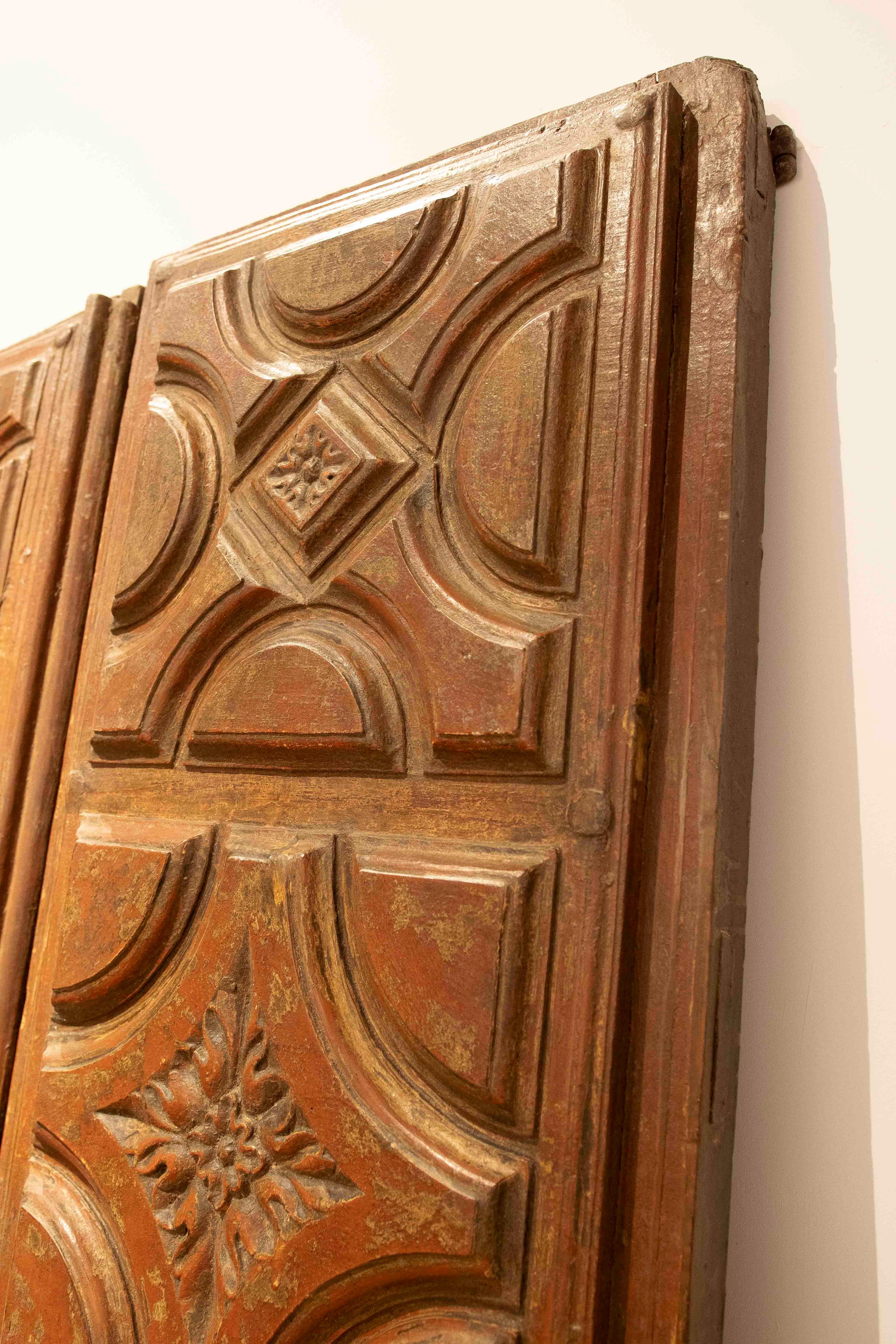 18th Antique Wooden Door Carved with Floral Motifs and Curvilinear Geometry In Good Condition For Sale In Marbella, ES