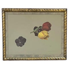 19th c. American Floral Botanical Watercolor Study of Tulips & Pansies by Copley