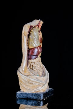 19th C Anatomical Didactic Model of a Torso with Removable Organs