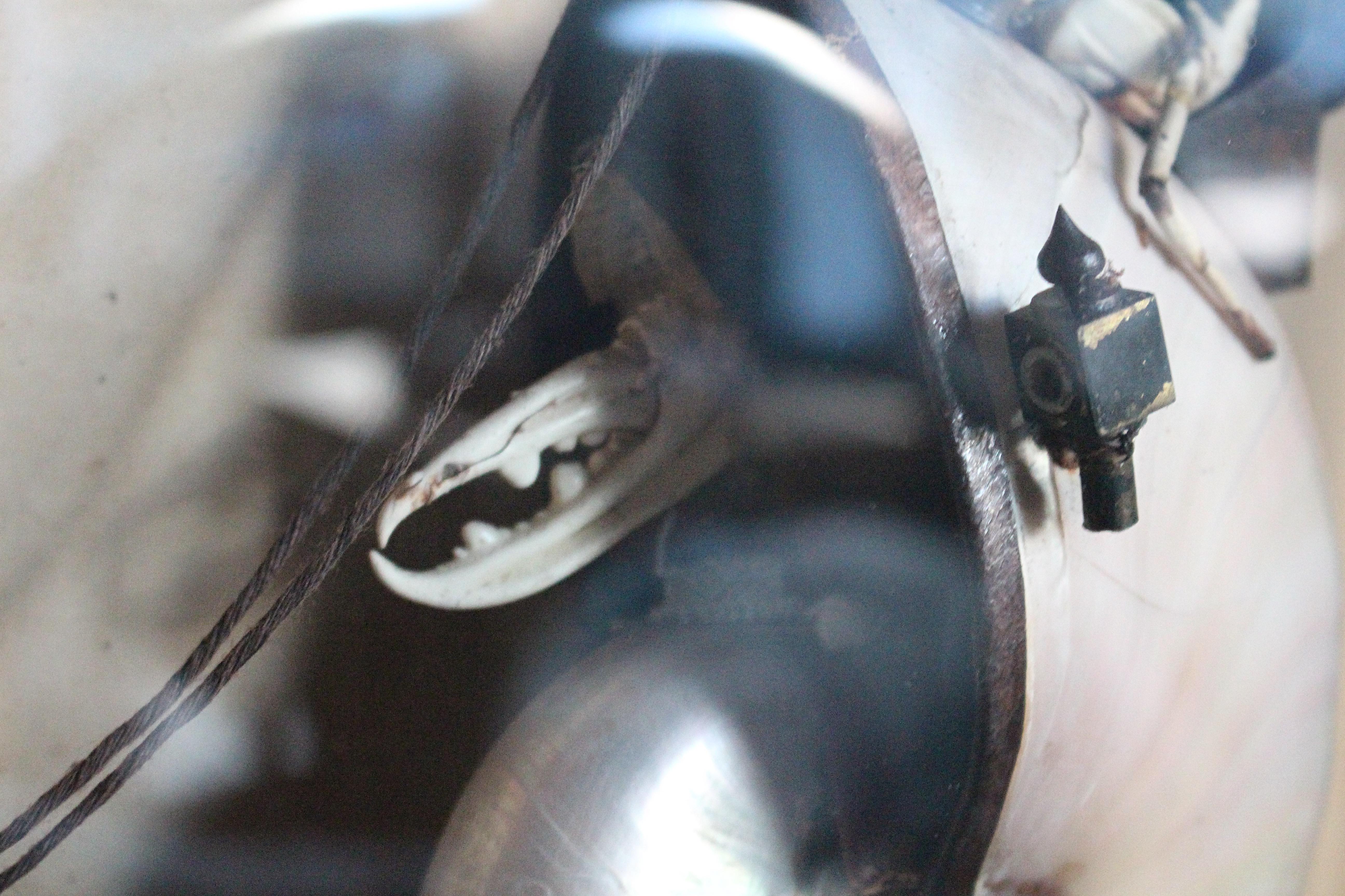 A.I.C.C. Taxidermie scène anthropomorphe de caméléon et de crustacé Walter Potter en vente 5