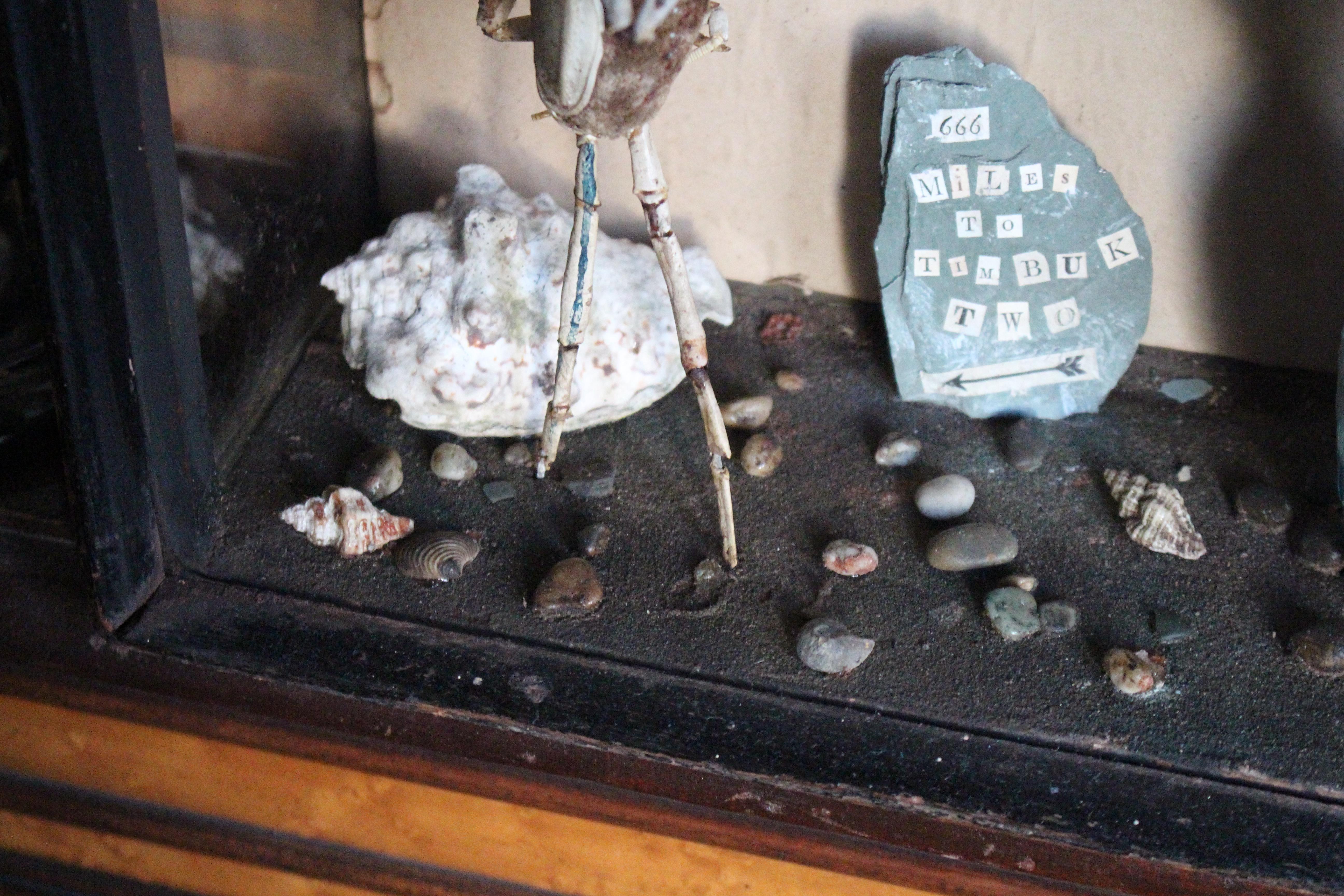 A.I.C.C. Taxidermie scène anthropomorphe de caméléon et de crustacé Walter Potter en vente 6