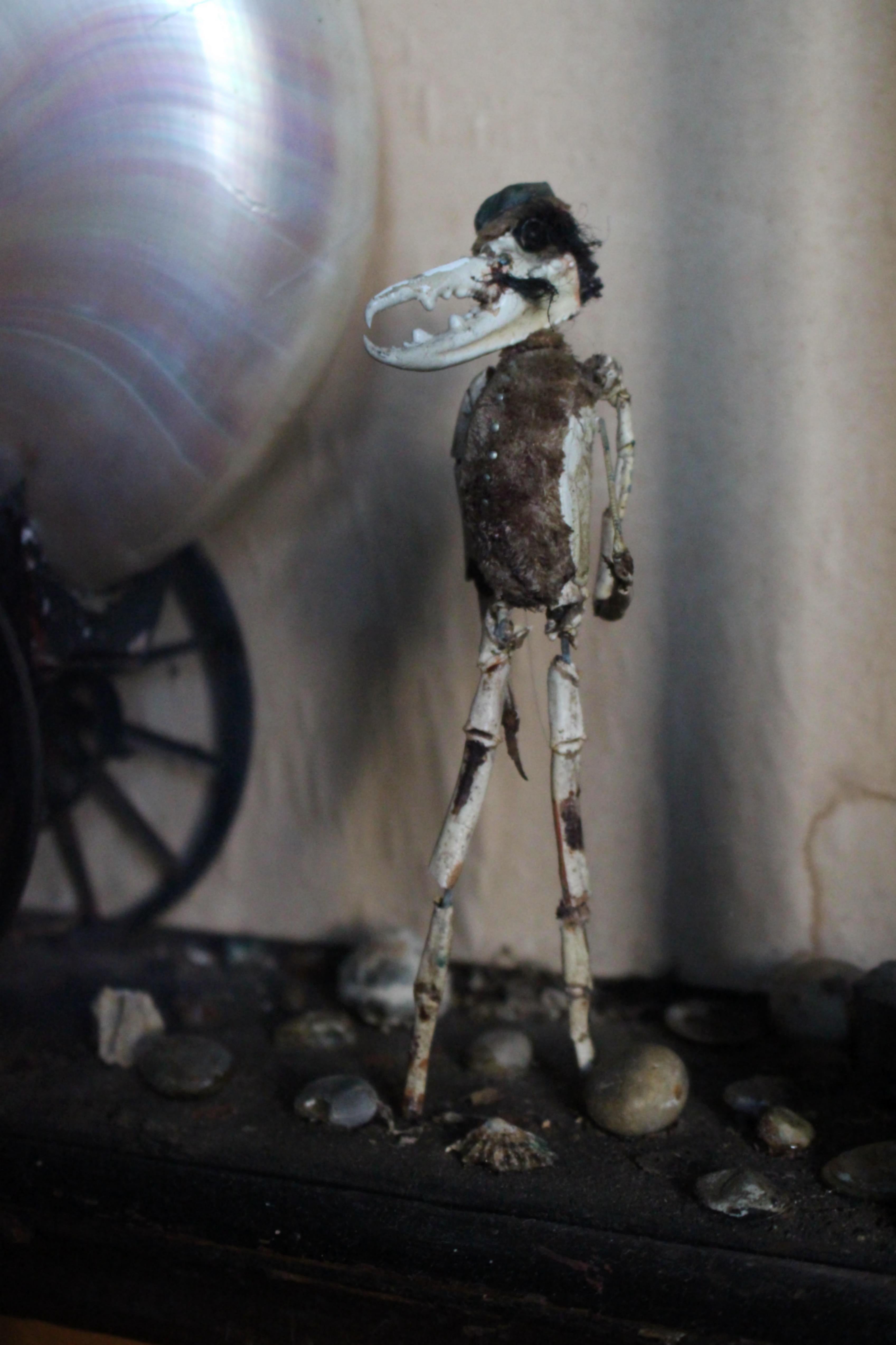 A.I.C.C. Taxidermie scène anthropomorphe de caméléon et de crustacé Walter Potter en vente 7