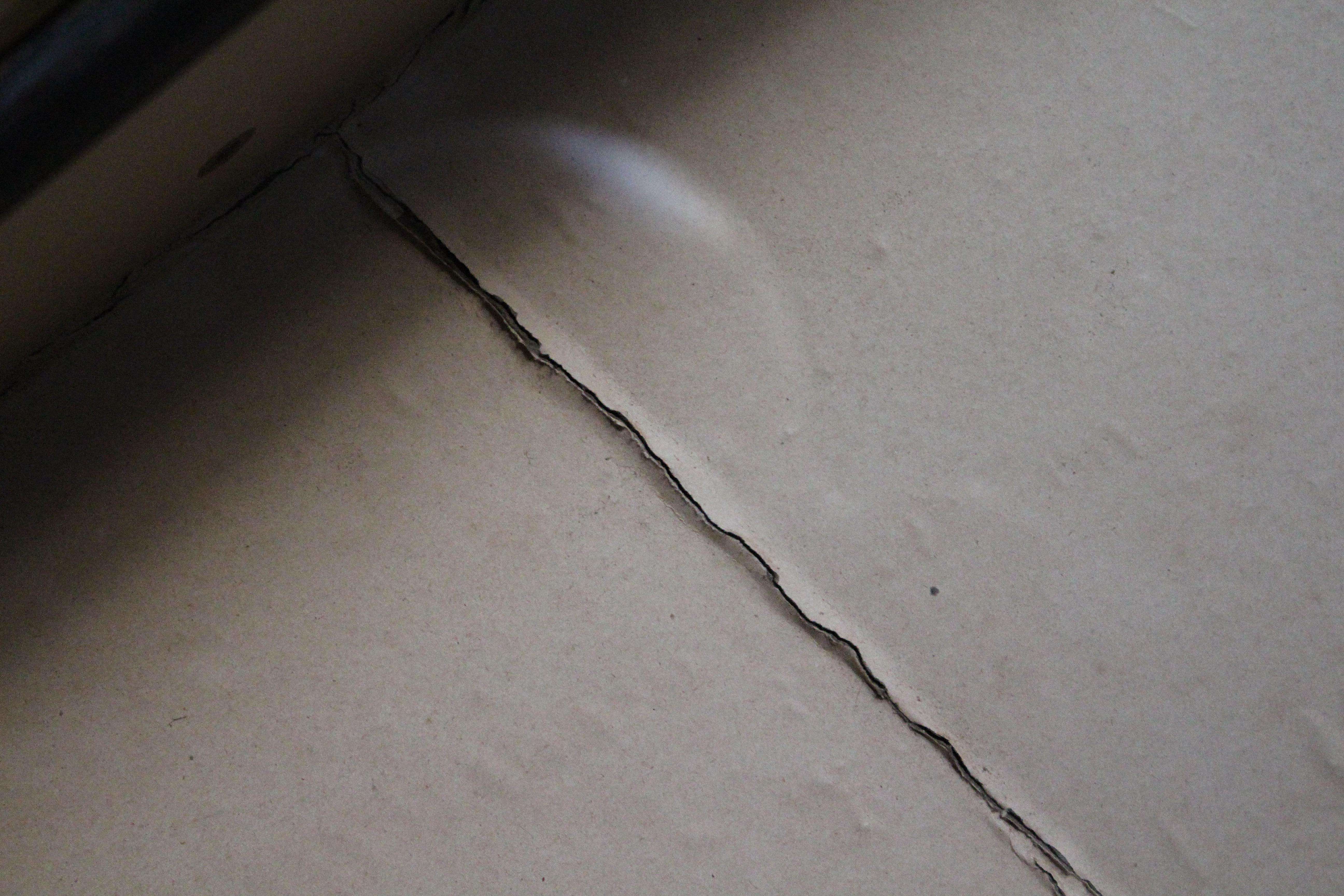 A.I.C.C. Taxidermie scène anthropomorphe de caméléon et de crustacé Walter Potter en vente 11