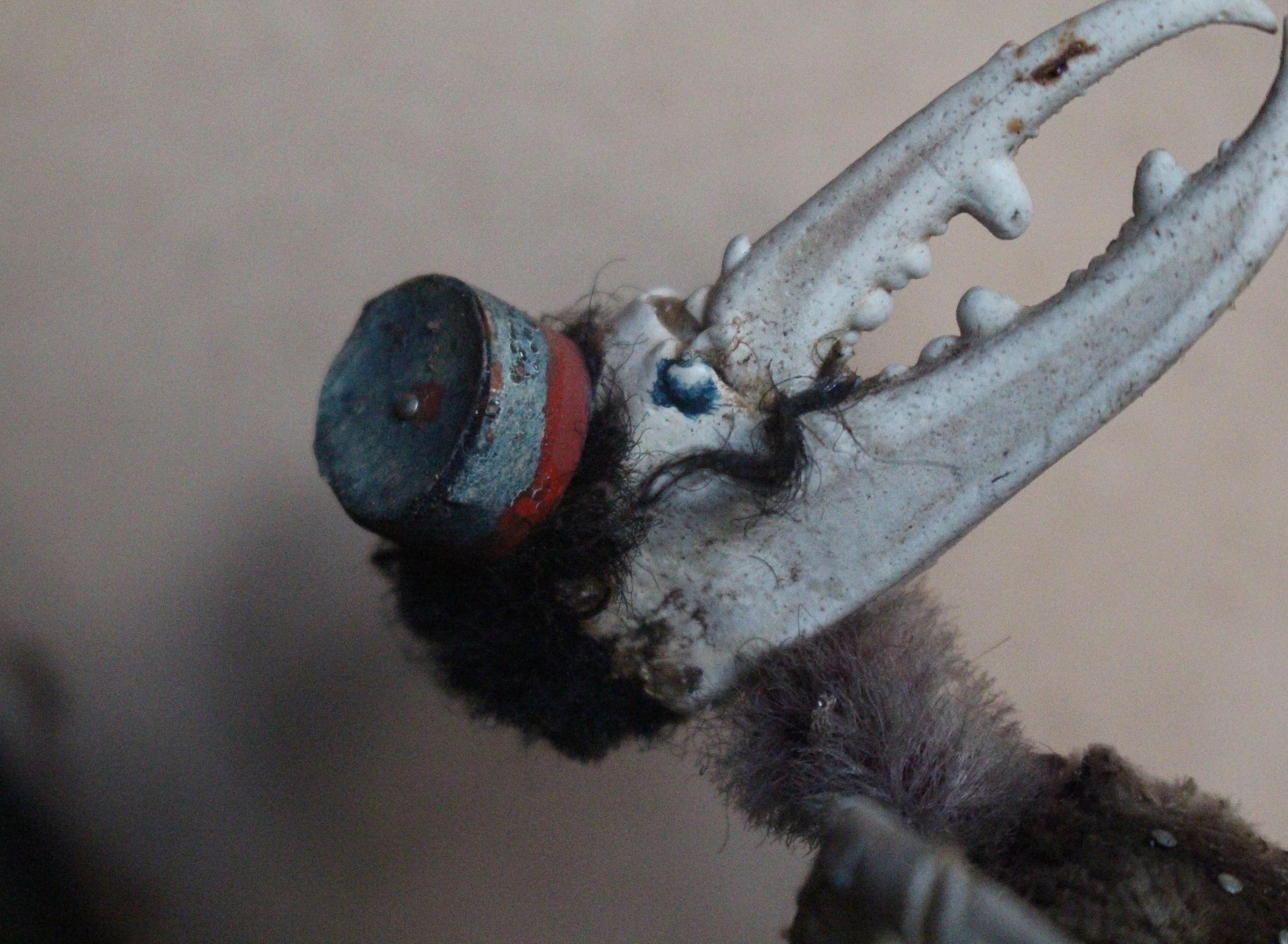 A.I.C.C. Taxidermie scène anthropomorphe de caméléon et de crustacé Walter Potter en vente 13