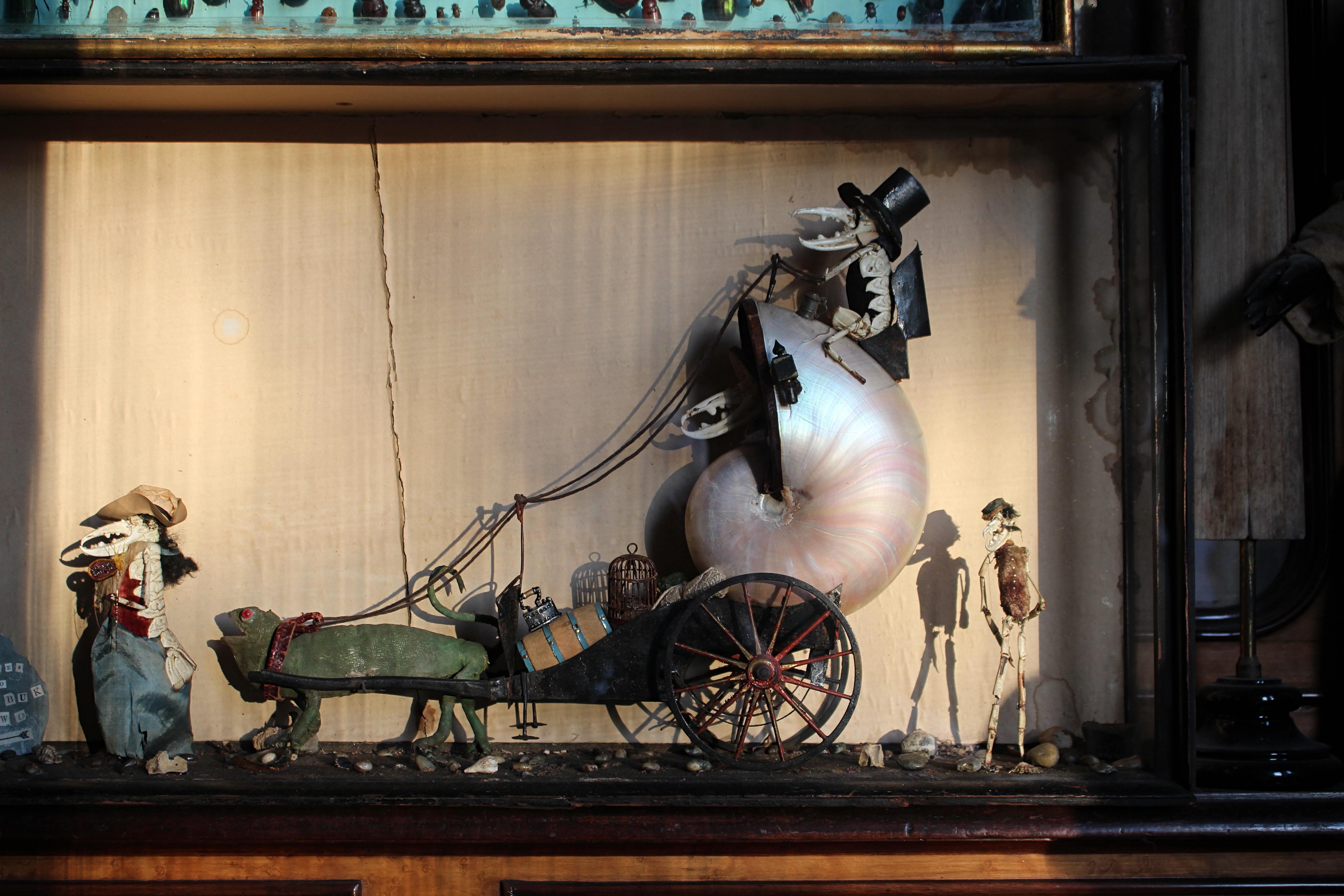 Anglais A.I.C.C. Taxidermie scène anthropomorphe de caméléon et de crustacé Walter Potter en vente