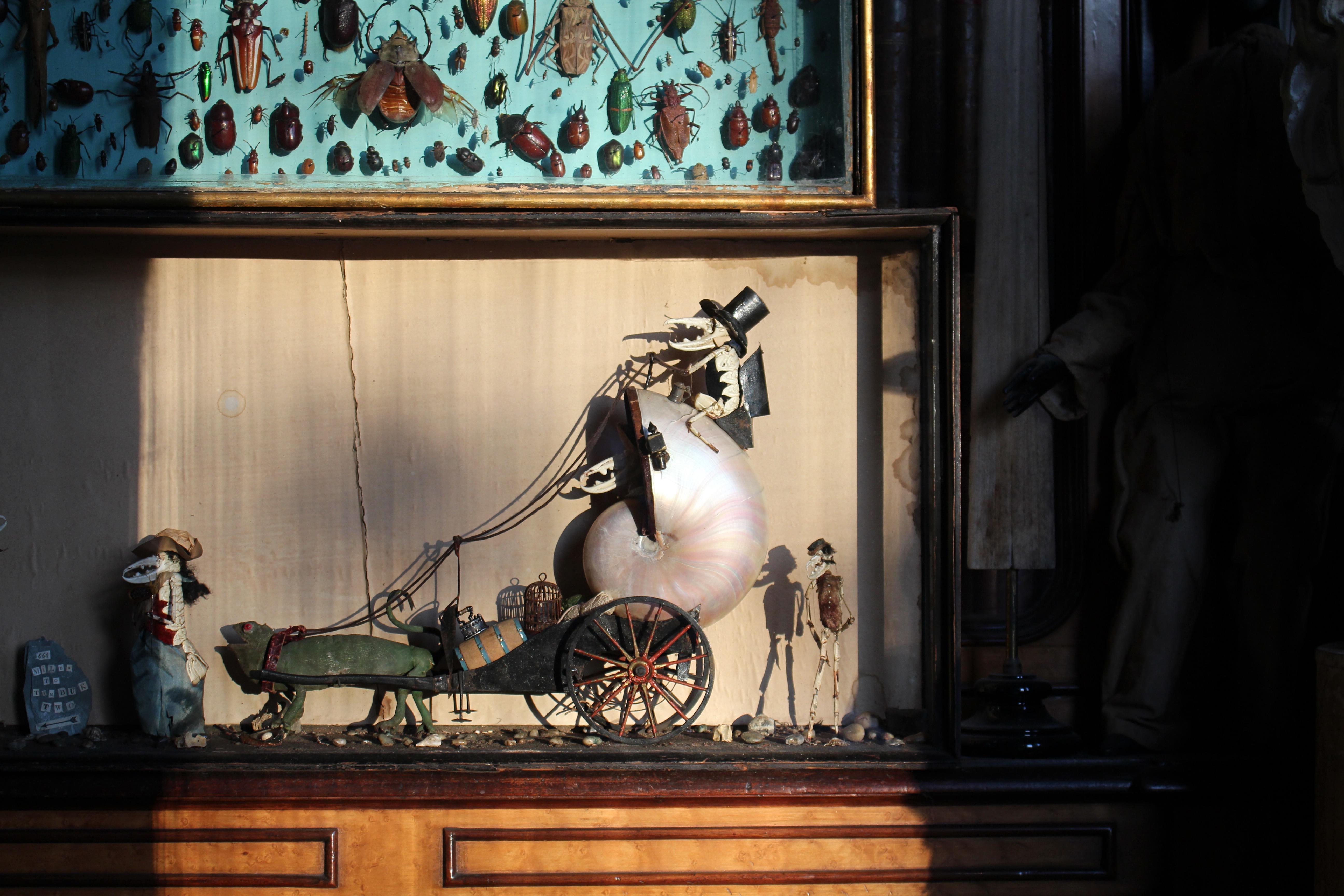 XIXe siècle A.I.C.C. Taxidermie scène anthropomorphe de caméléon et de crustacé Walter Potter en vente