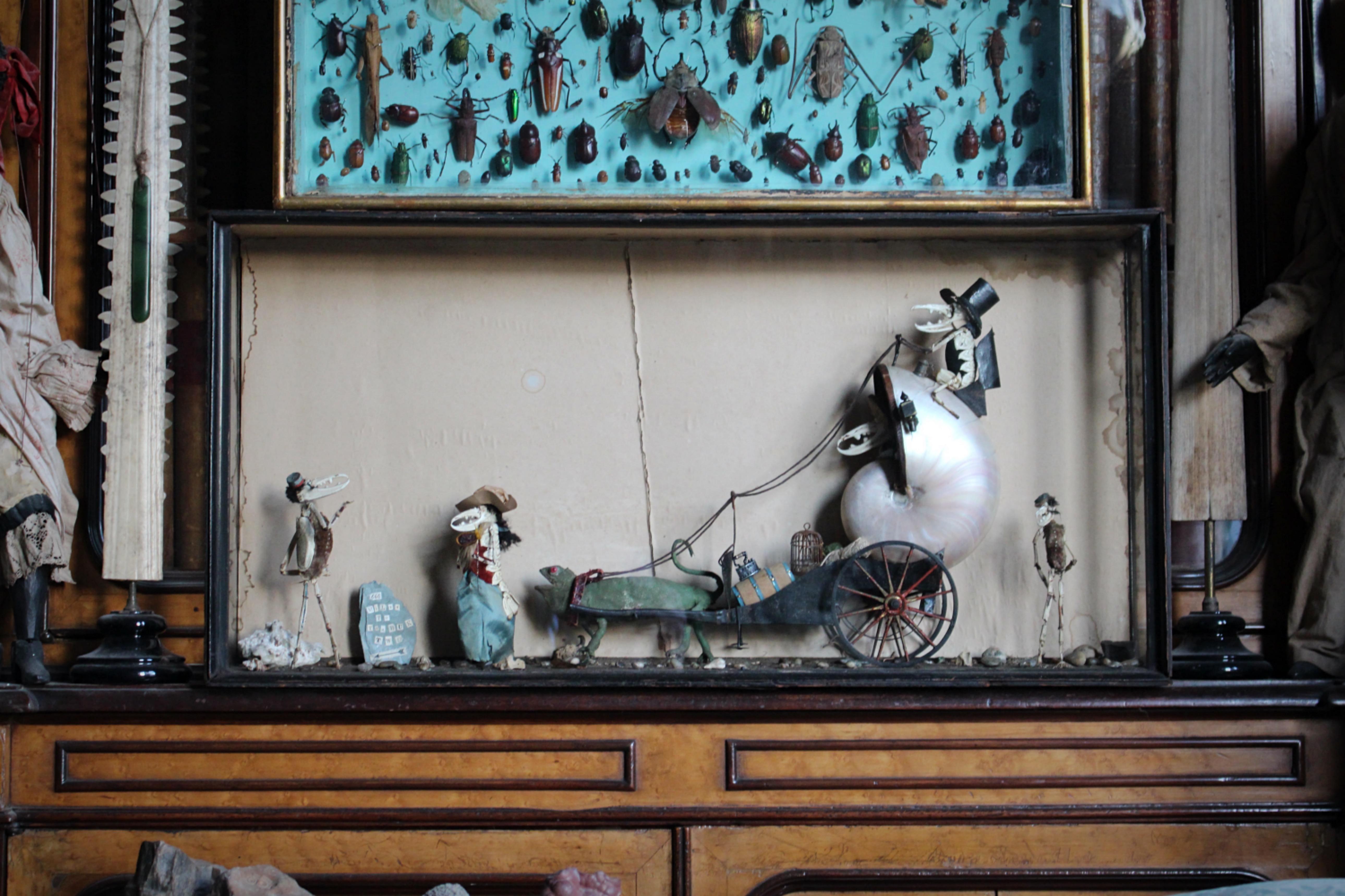 A.I.C.C. Taxidermie scène anthropomorphe de caméléon et de crustacé Walter Potter en vente 3