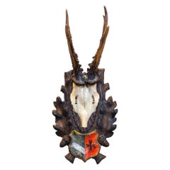 19th C Austrian Roe Deer Trophies on Original Black Forest Plaques with Heraldic