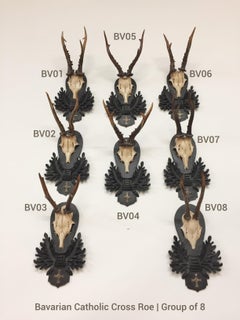 Bavarian Roe Deer Trophies on Black Forest Plaques with Bavarian Cross