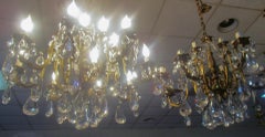 19th C Belle Epoque French Lead Crystal and Brass Sixteen Light Chandelier Pair