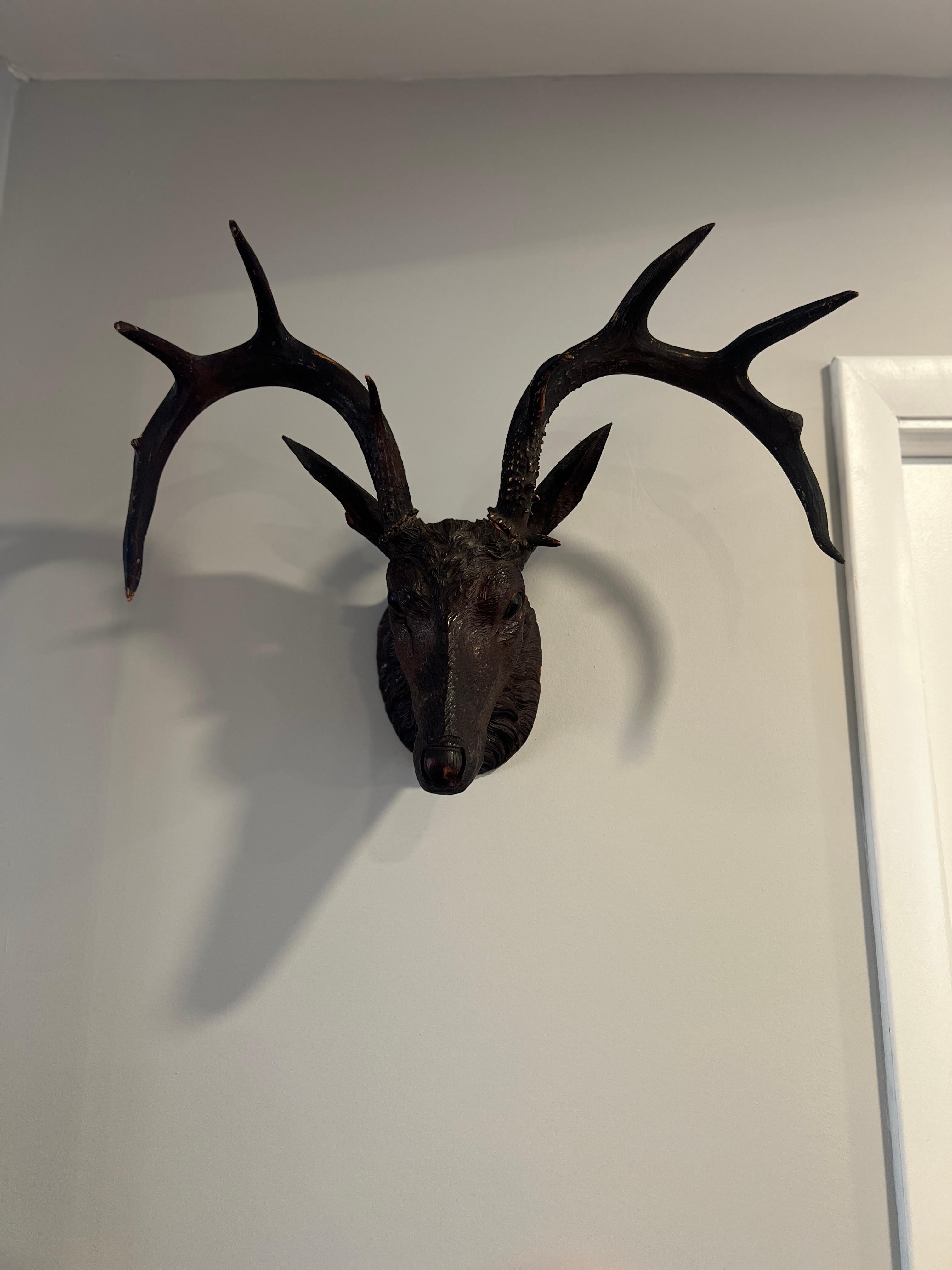 German, 19th century.

A large scale and finely carved Black Forest deer or stag head. 
The deer head made of carved wood and original glass eyes and artist inset original antlers. These head mounts have become highly coveted and valuable. 

This