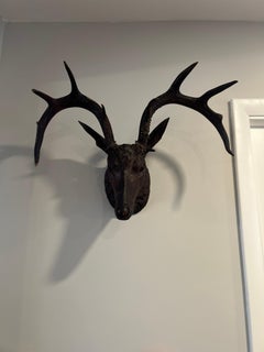 19th C Black Forest Stag Head Antler Wall Mount Deer Sculpture