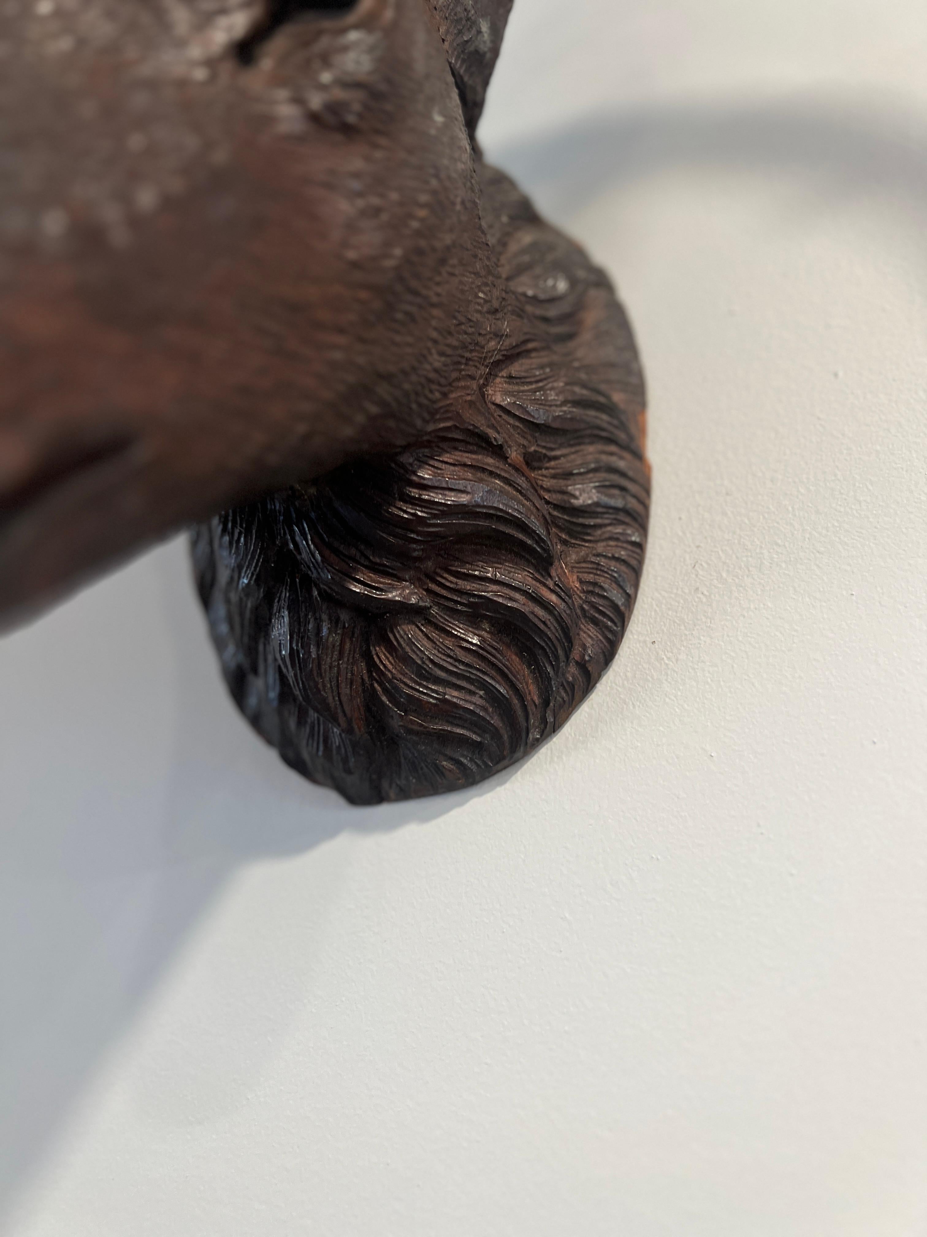 Escultura de ciervo con cabeza de asta de ciervo de la Selva Negra del siglo XIX para colgar en la pared Bosque negro
