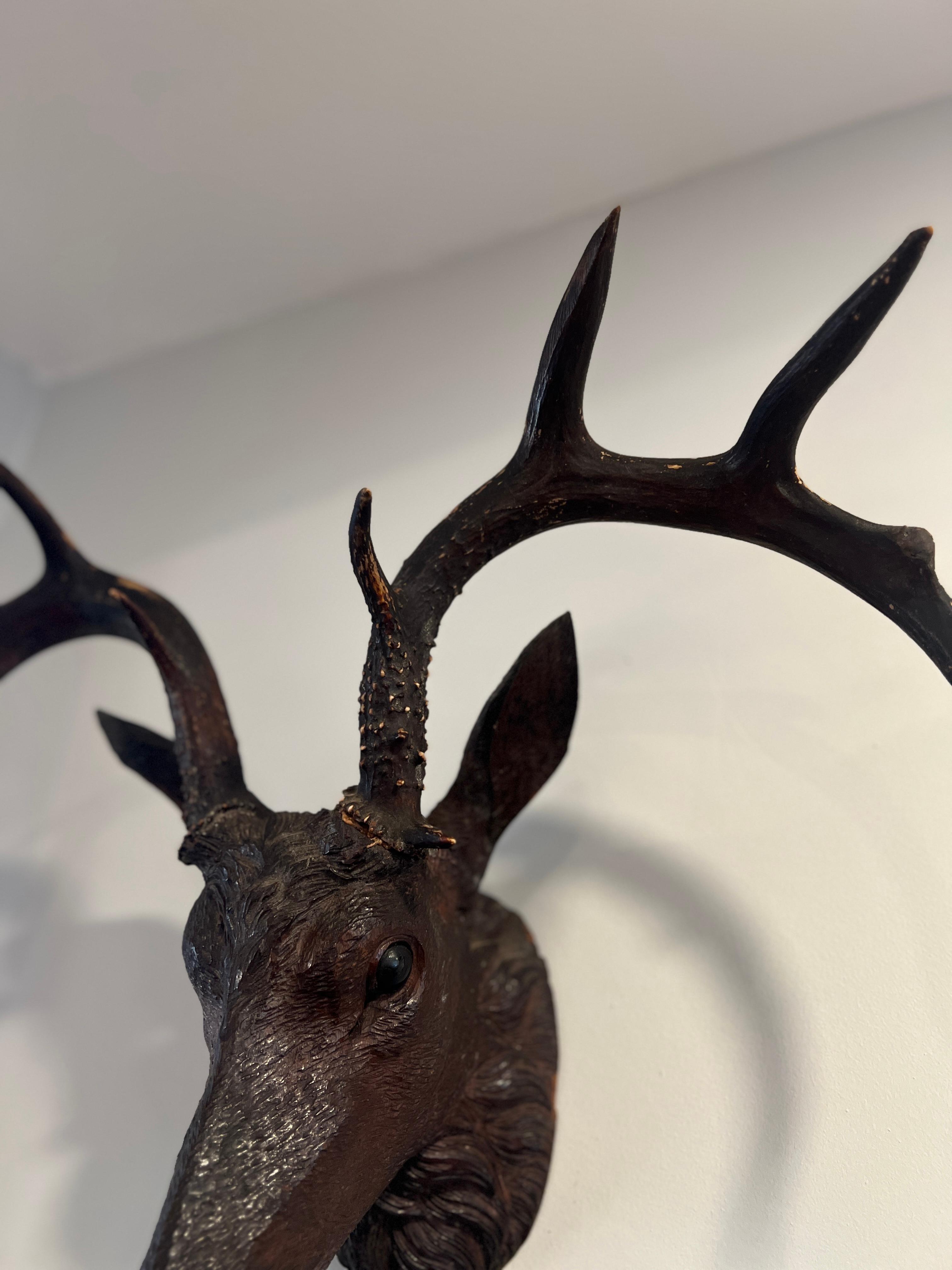 19th C Black Forest Stag Head Antler Wall Mount Deer Sculpture For Sale 1
