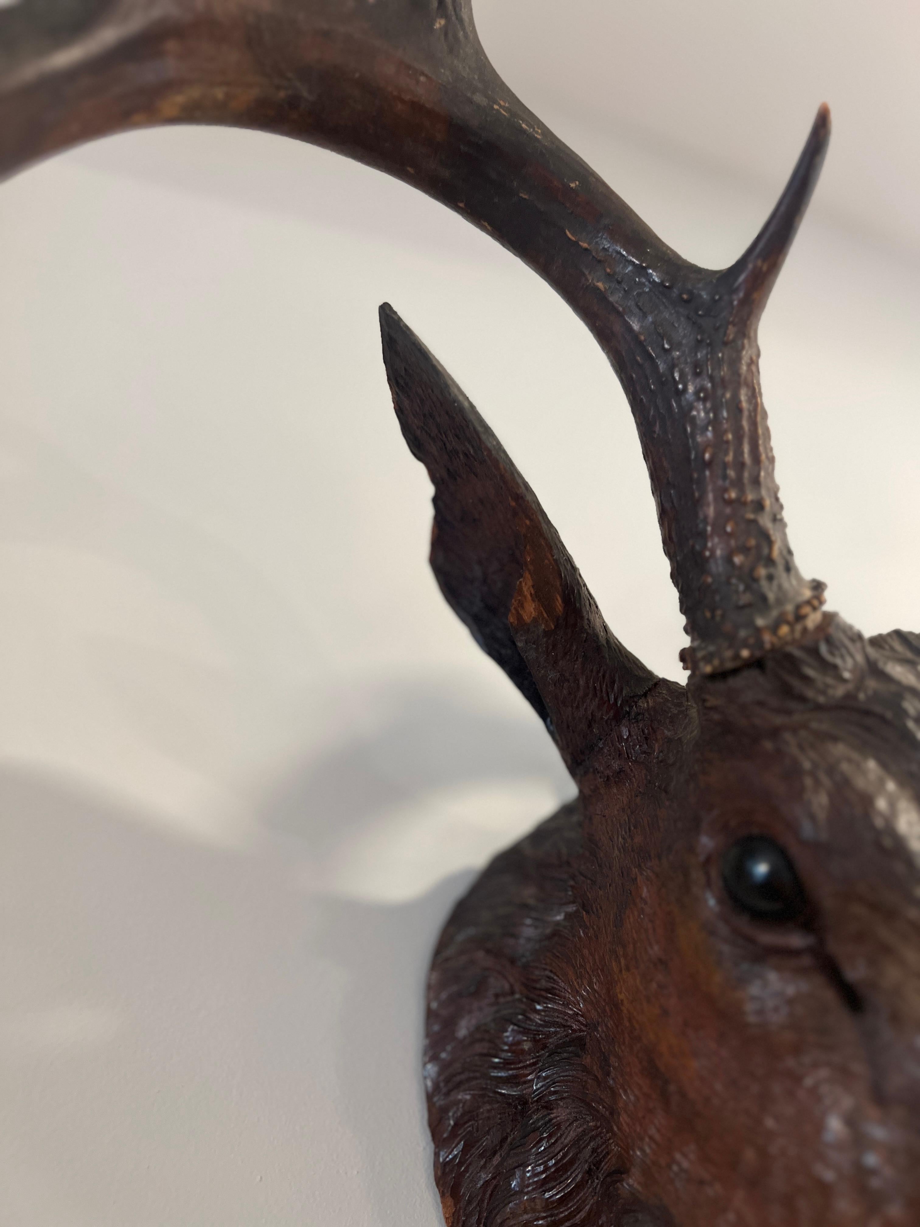 19th C Black Forest Stag Head Antler Wall Mount Deer Sculpture For Sale 2