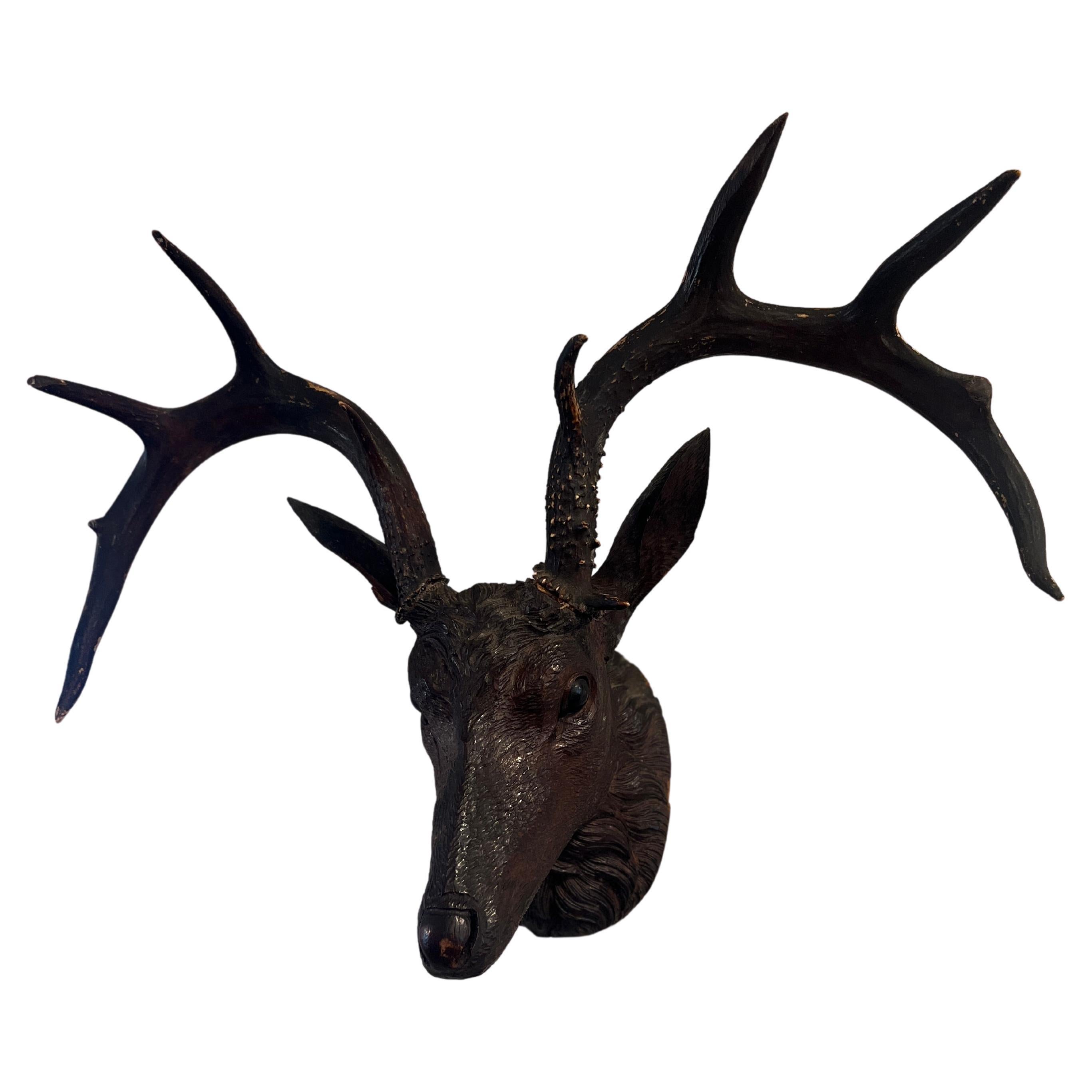 19th C Black Forest Stag Head Antler Wall Mount Deer Sculpture For Sale